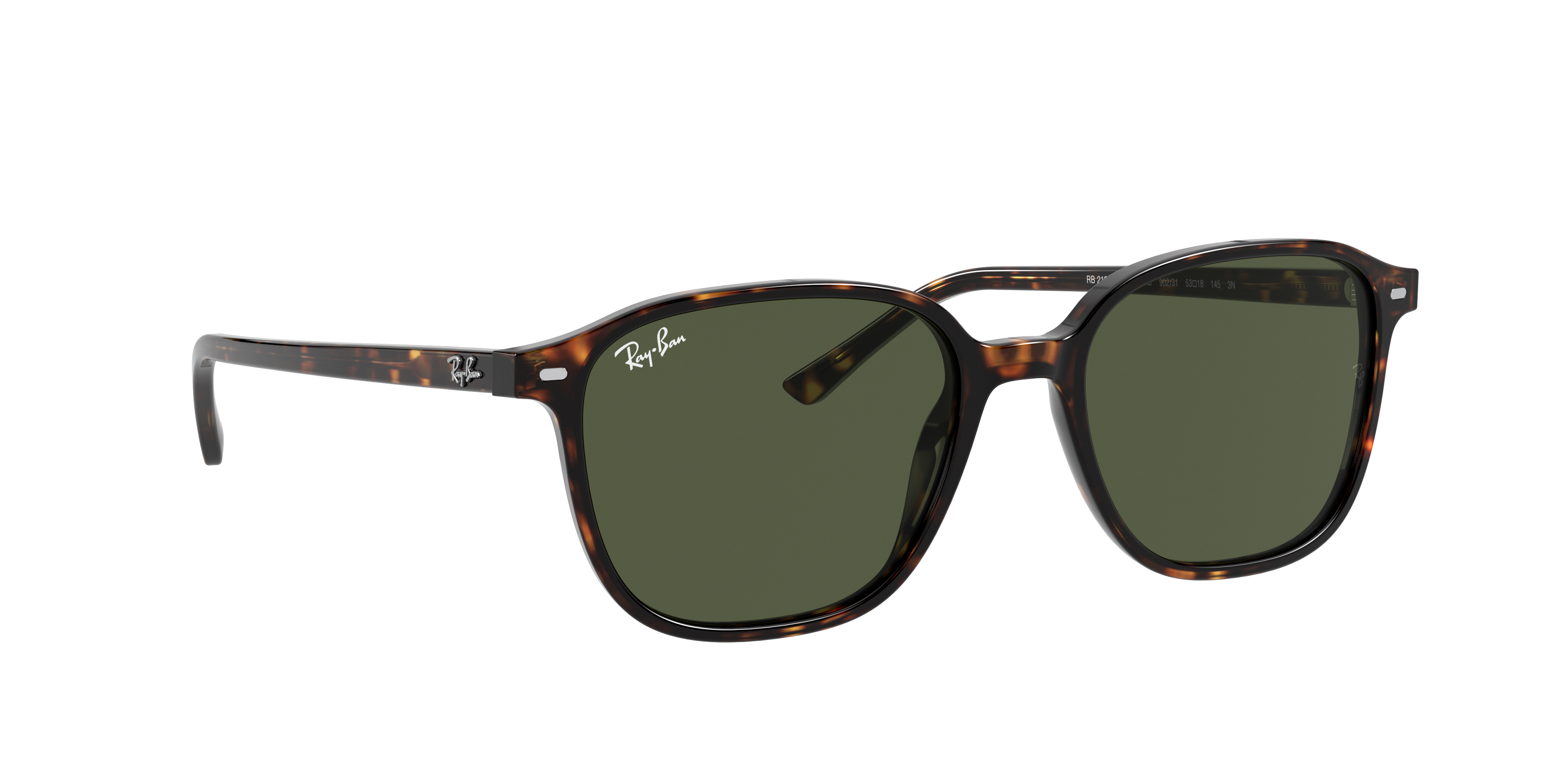 Ray-Ban RB2193 LEONARD 902/31