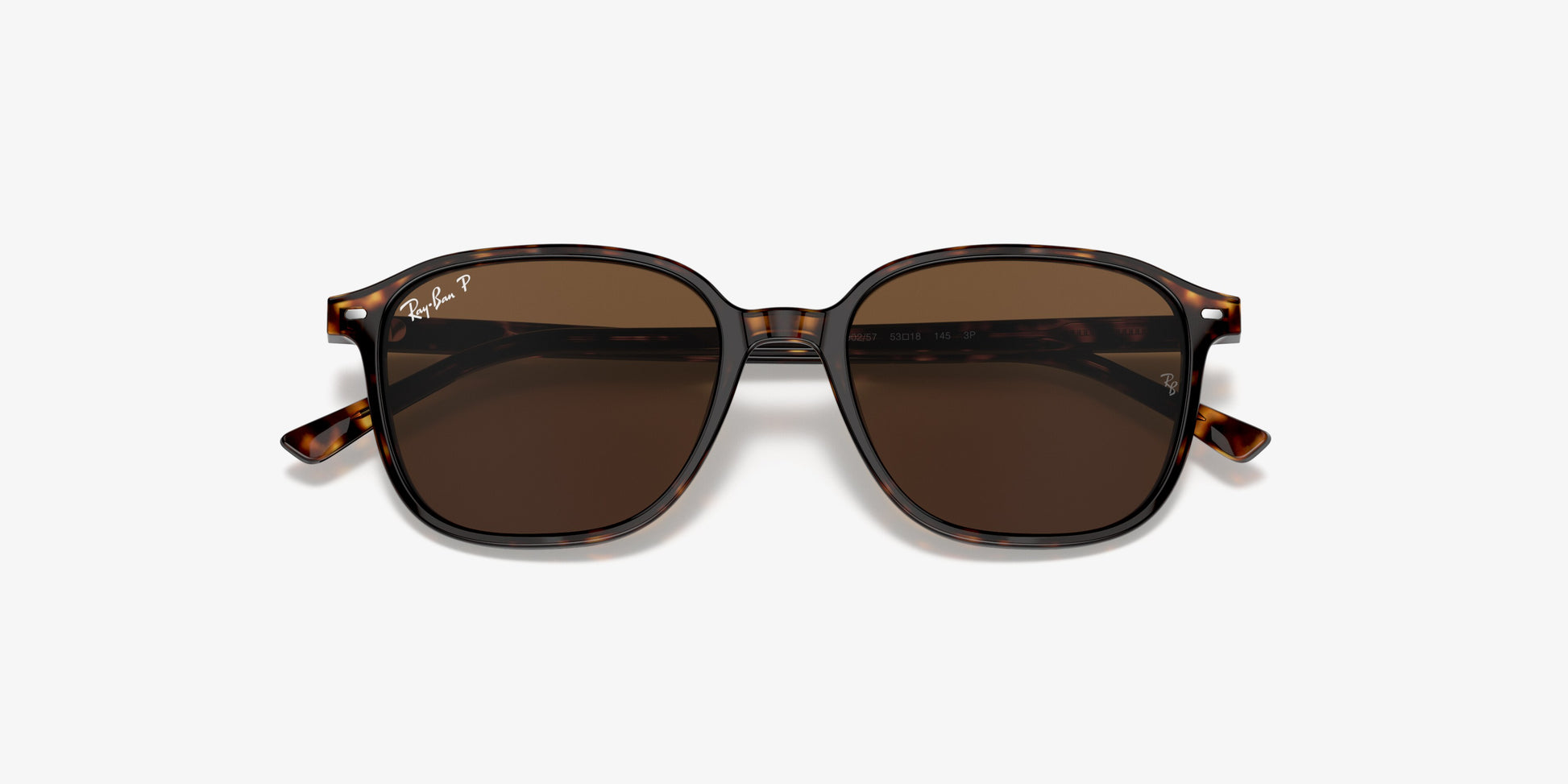 Ray-Ban RB2193 LEONARD 902/57