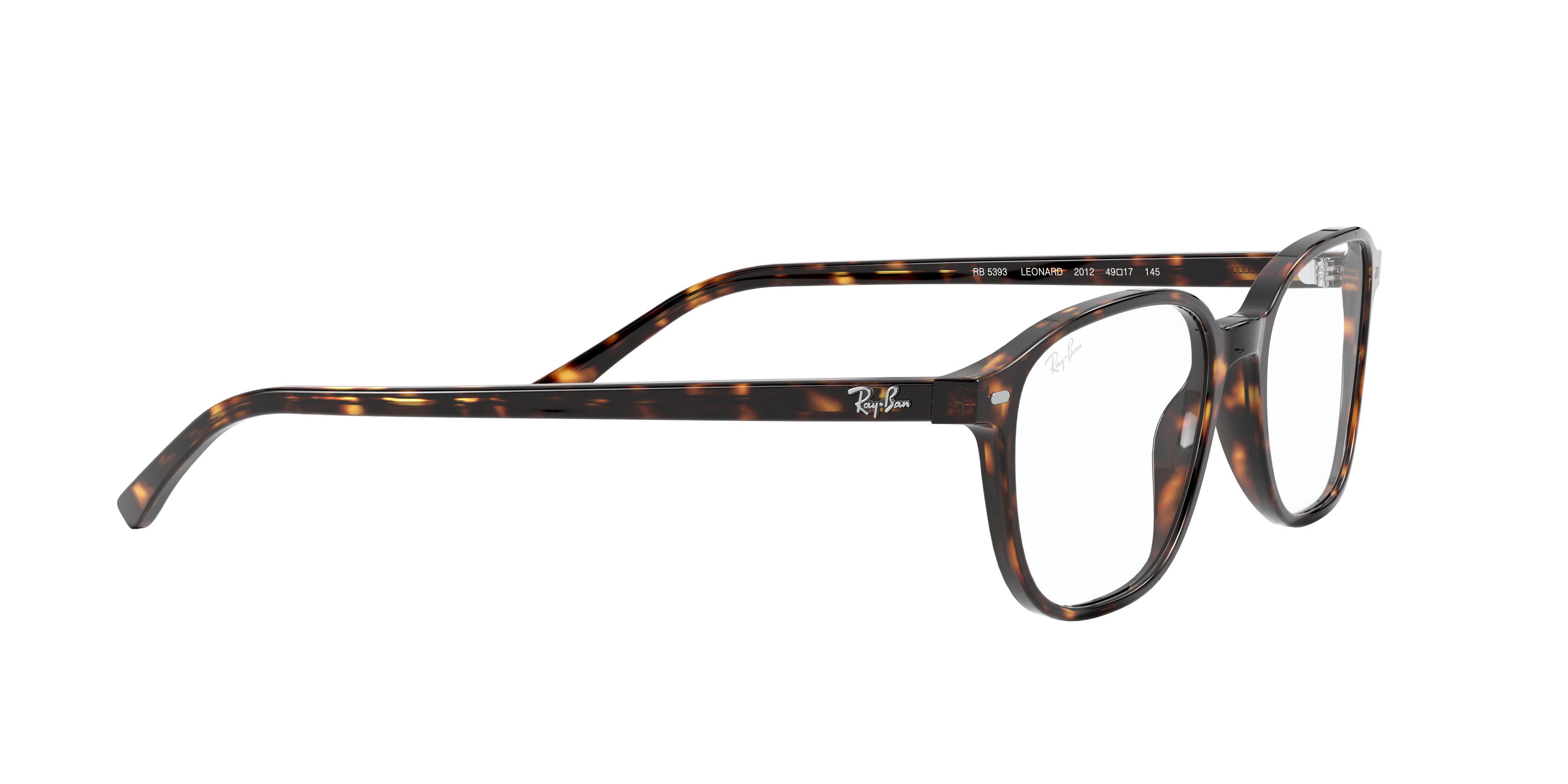 Ray-Ban RX5393 LEONARD 2012