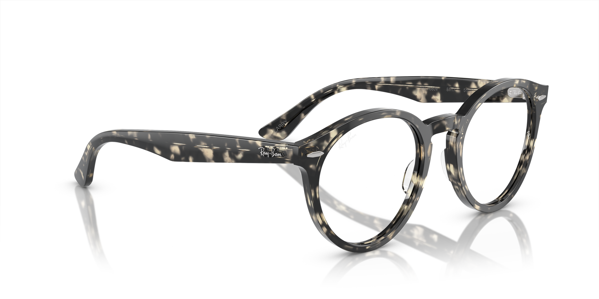 Ray-Ban RX7680V LARRY 8117