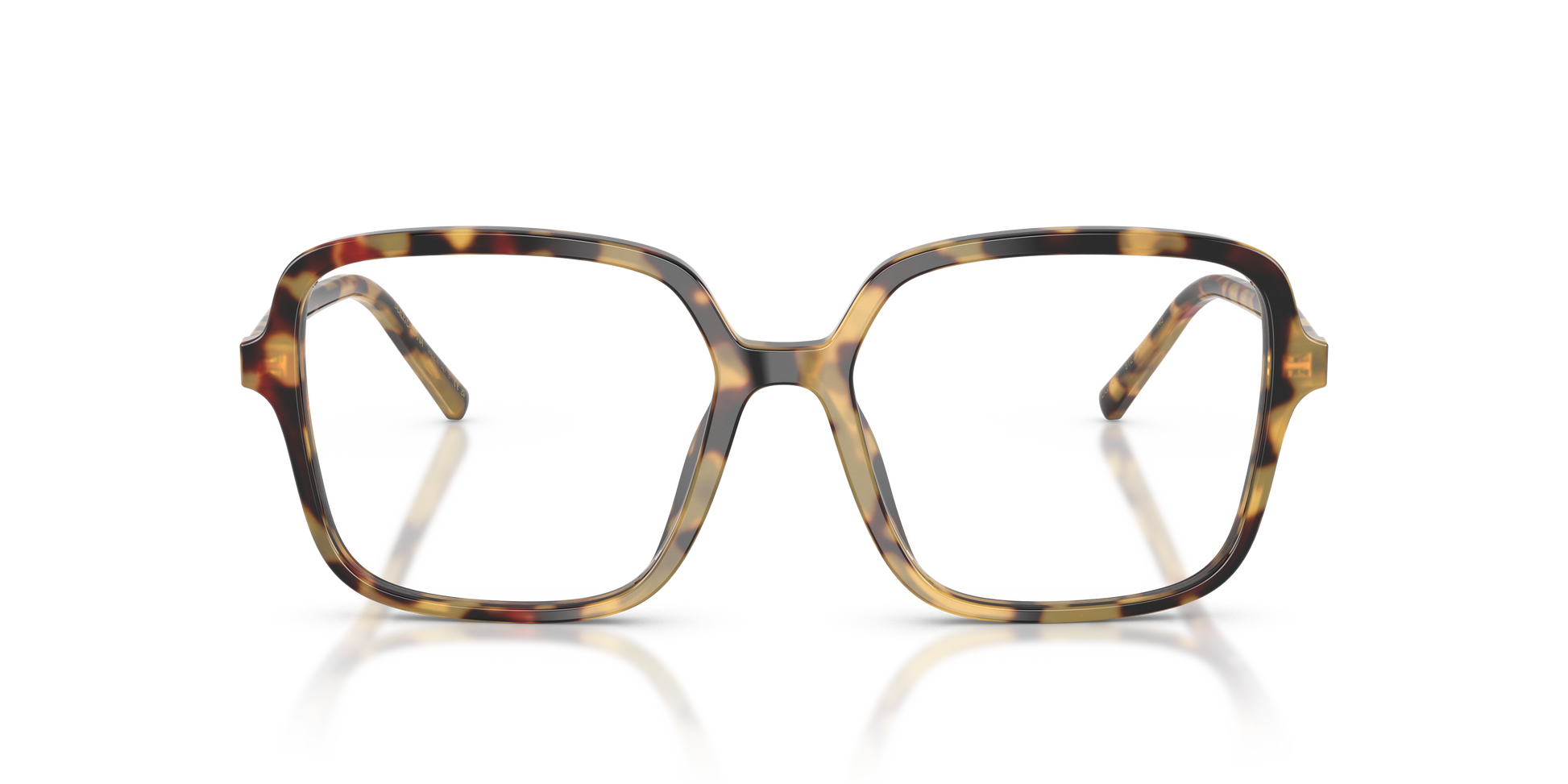Dolce & Gabbana DG3442 512