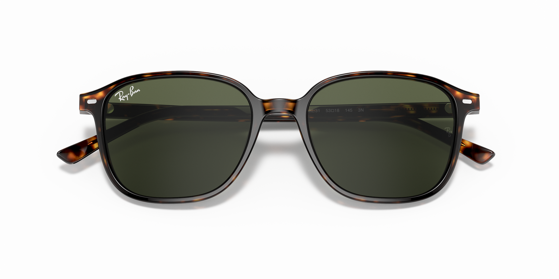 Ray-Ban RB2193 LEONARD 902/31
