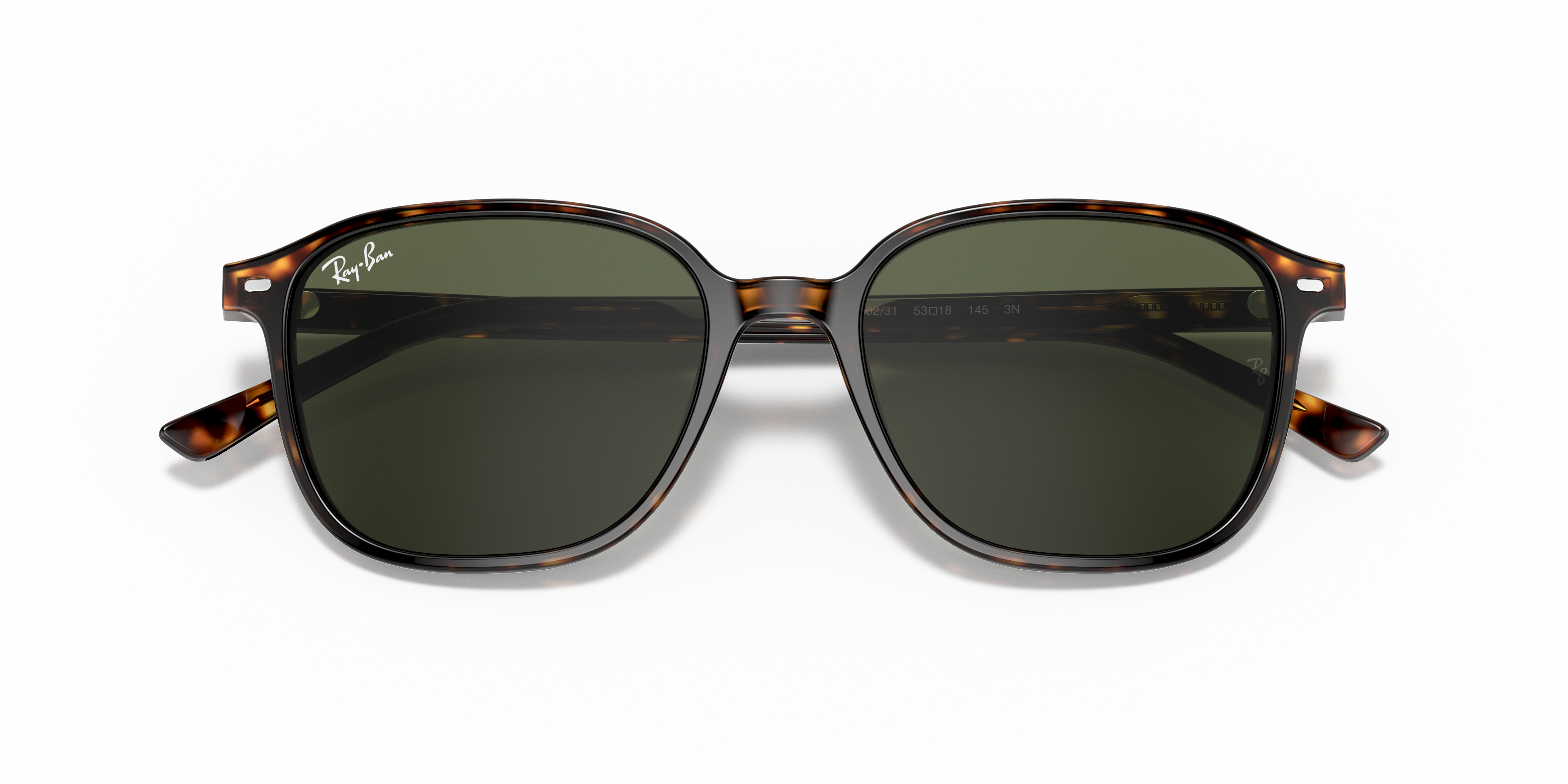 Ray-Ban RB2193 LEONARD 902/31