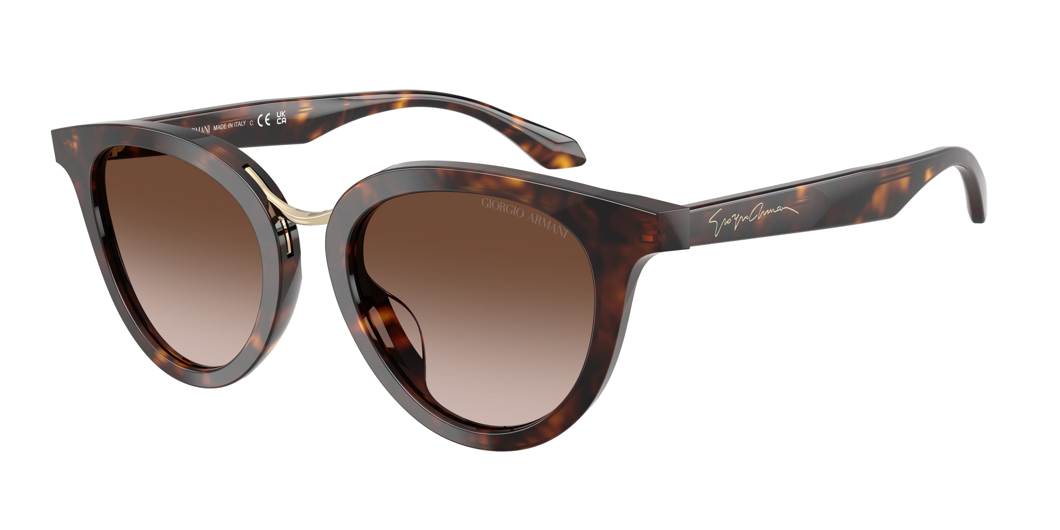 Giorgio Armani AR8252U 612413
