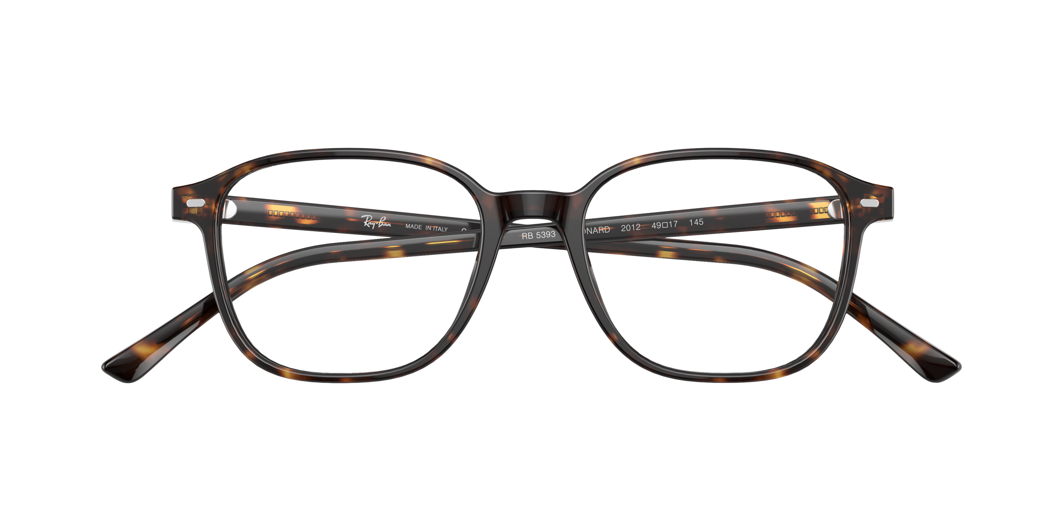 Ray-Ban RX5393 LEONARD 2012