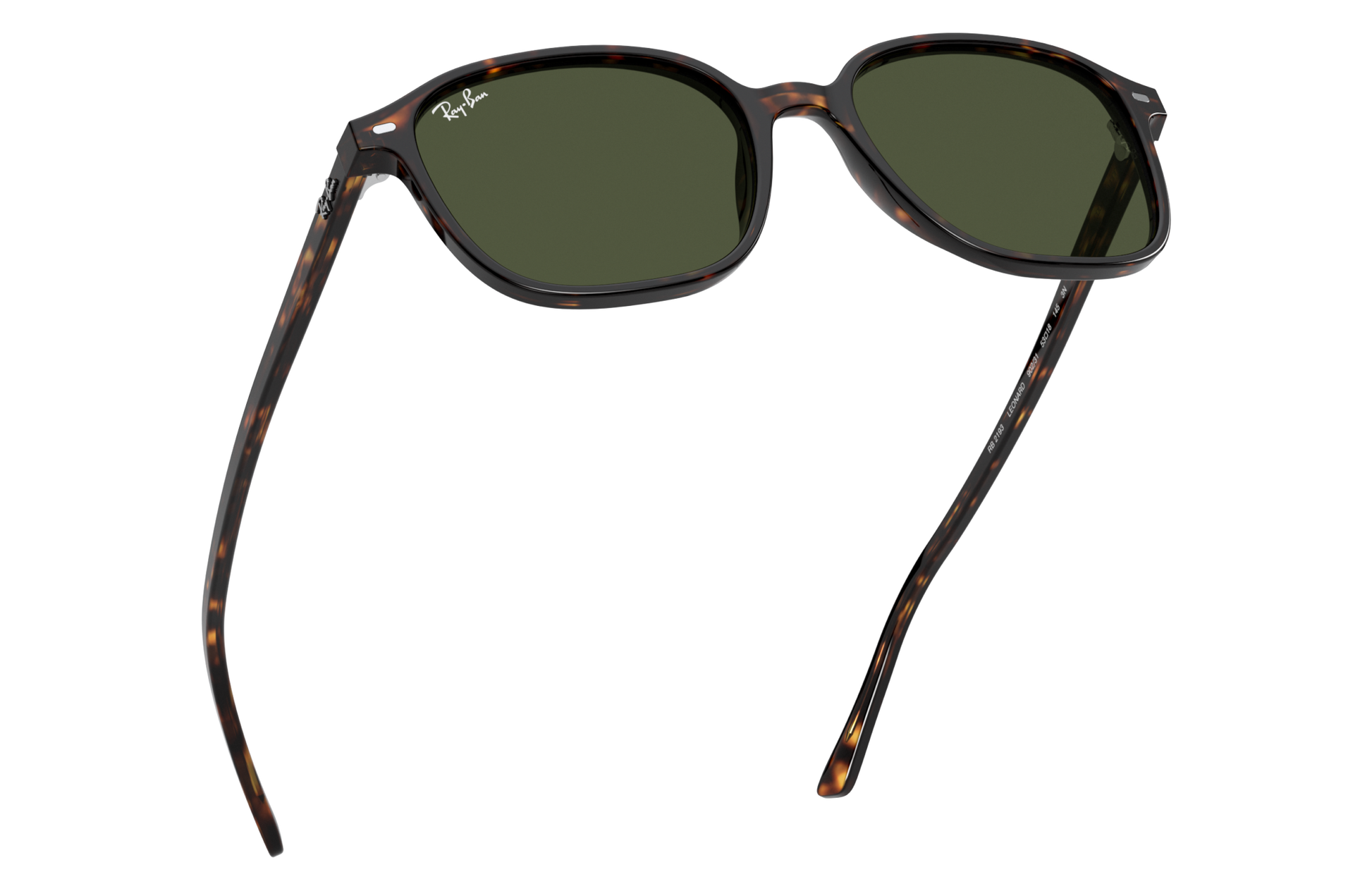 Ray-Ban RB2193 LEONARD 902/31