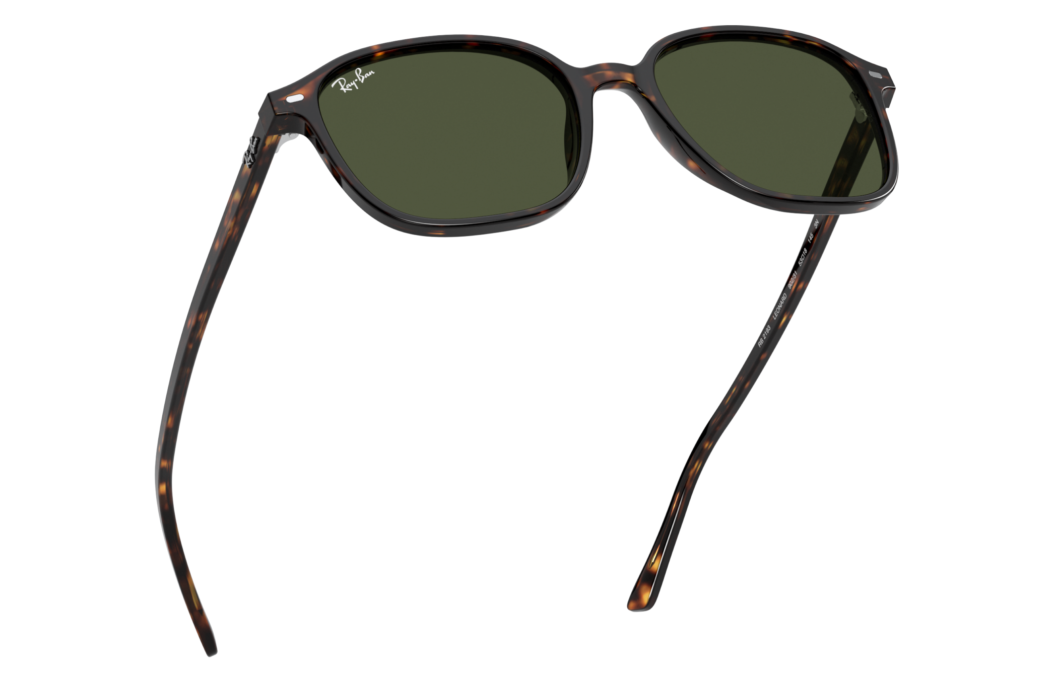 Ray-Ban RB2193 LEONARD 902/31