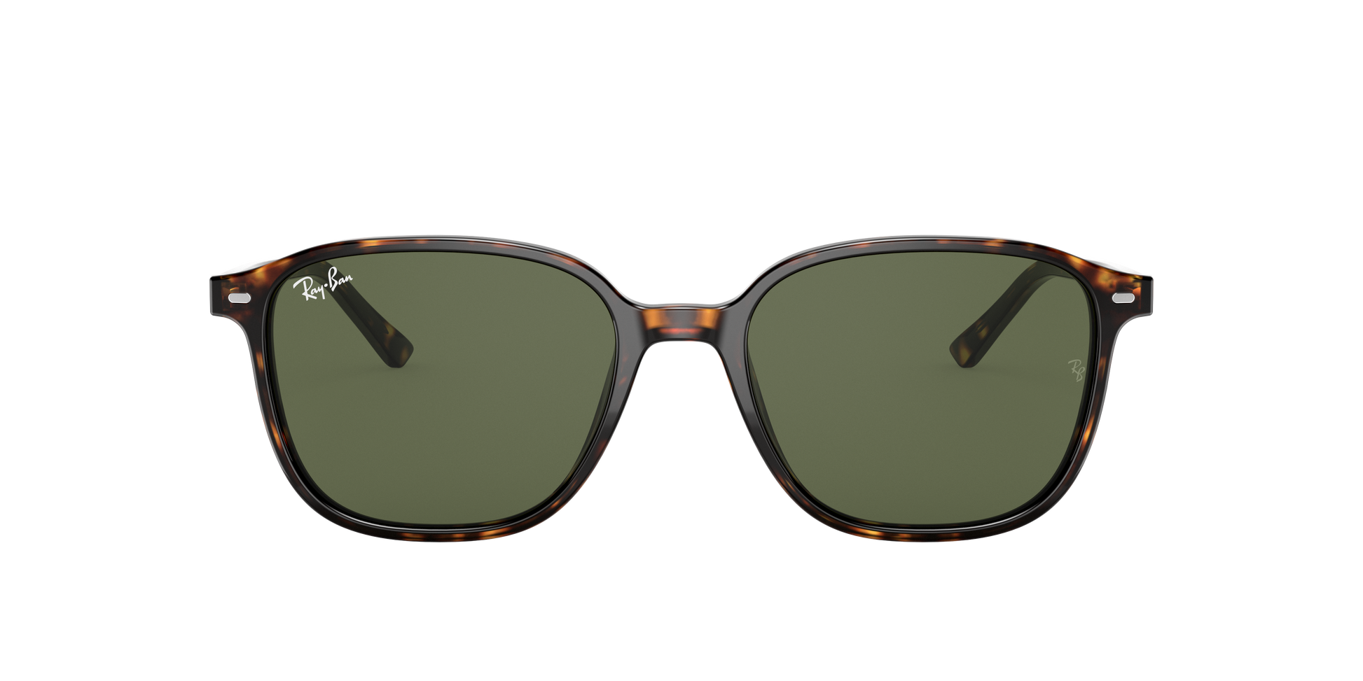 Ray-Ban RB2193 LEONARD 902/31