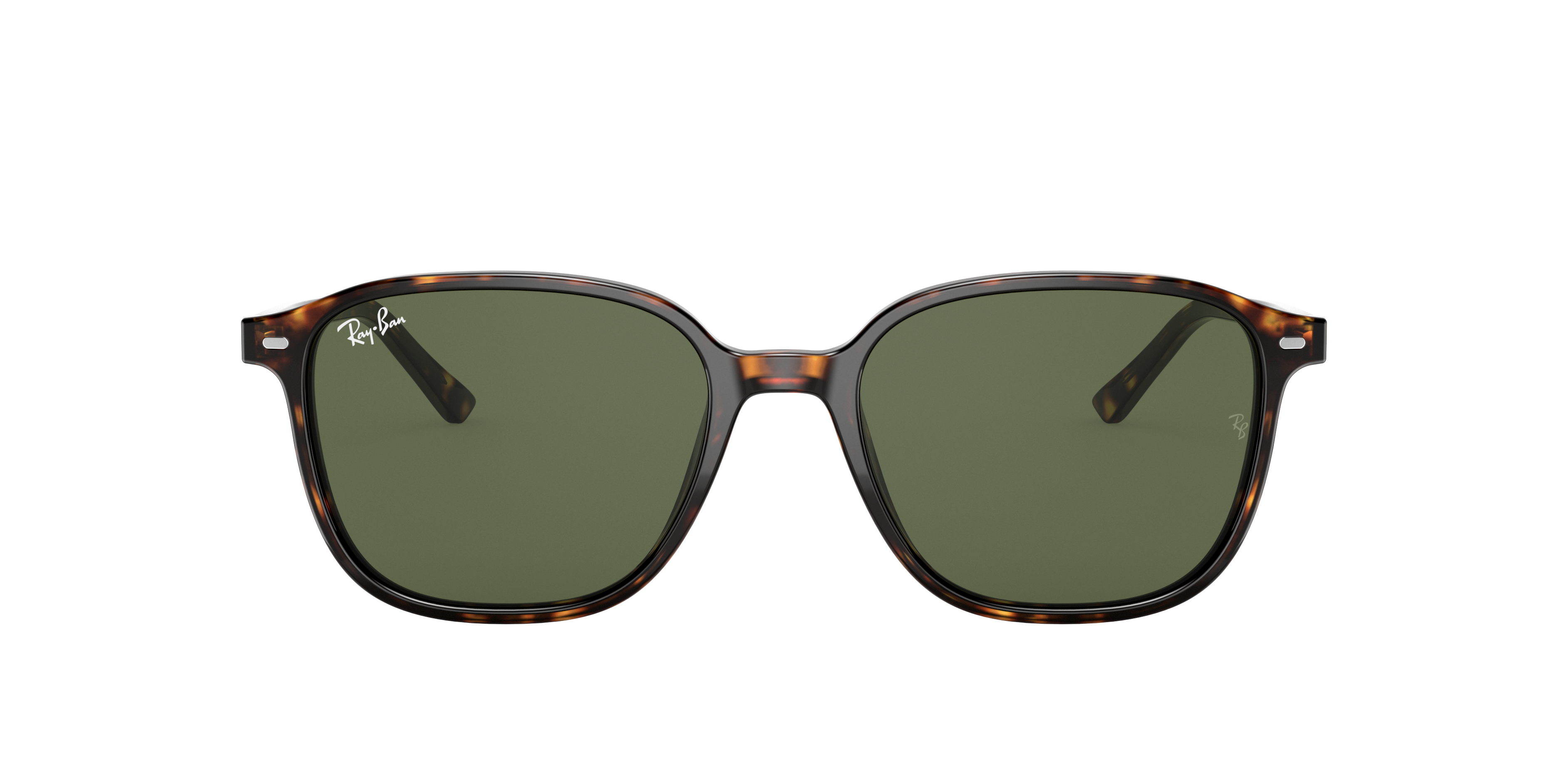 Ray-Ban RB2193 LEONARD 902/31