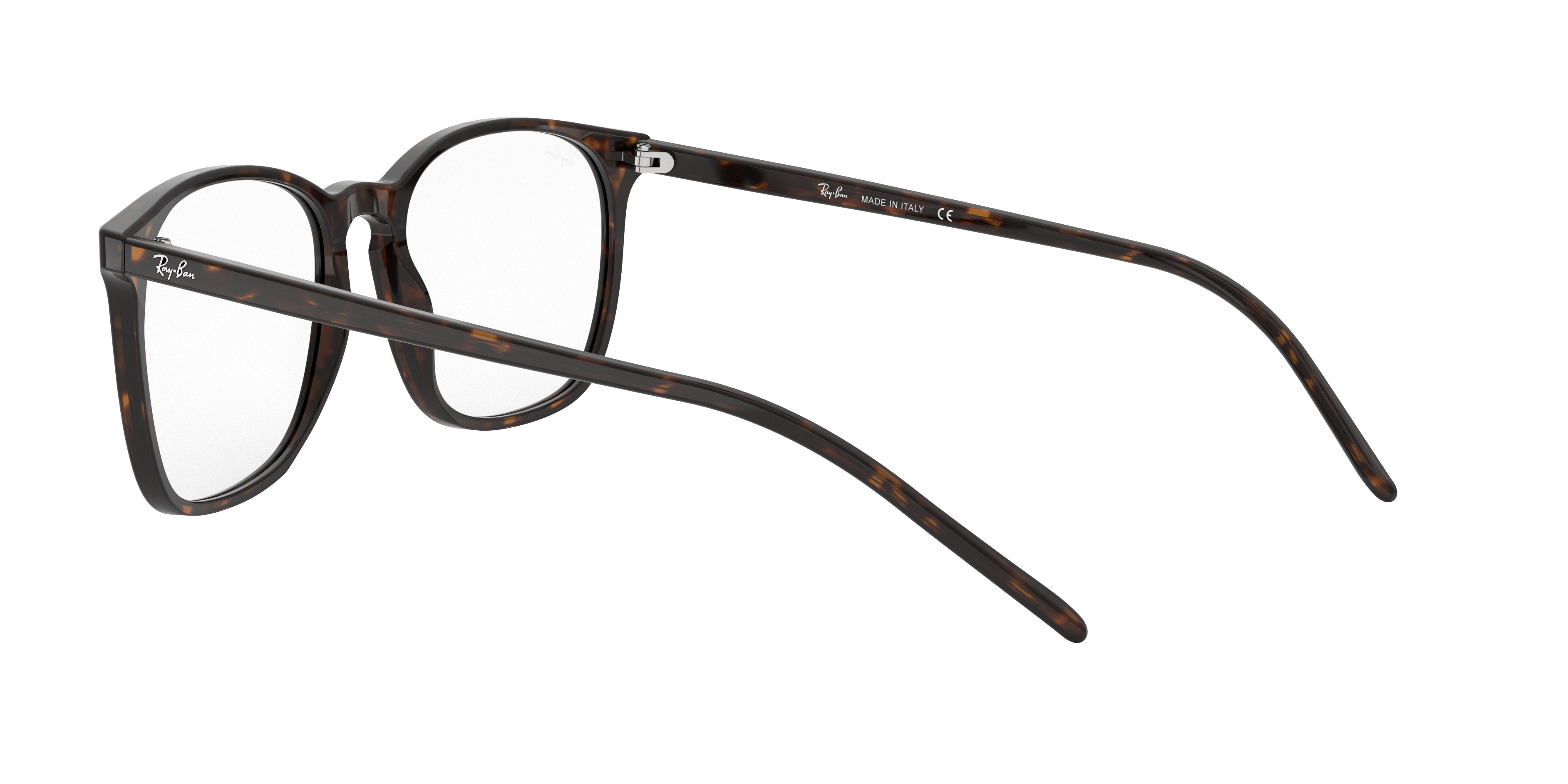 Ray-Ban RX5387 2012