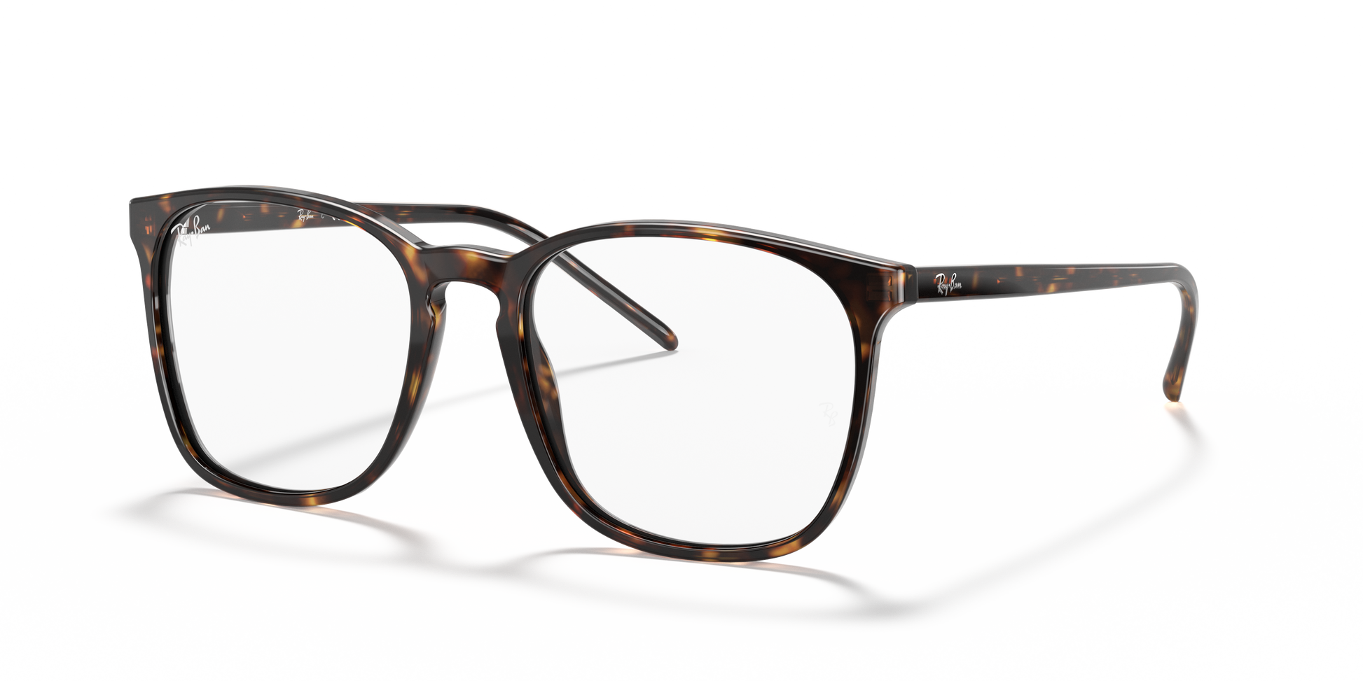 Ray-Ban RX5387 2012