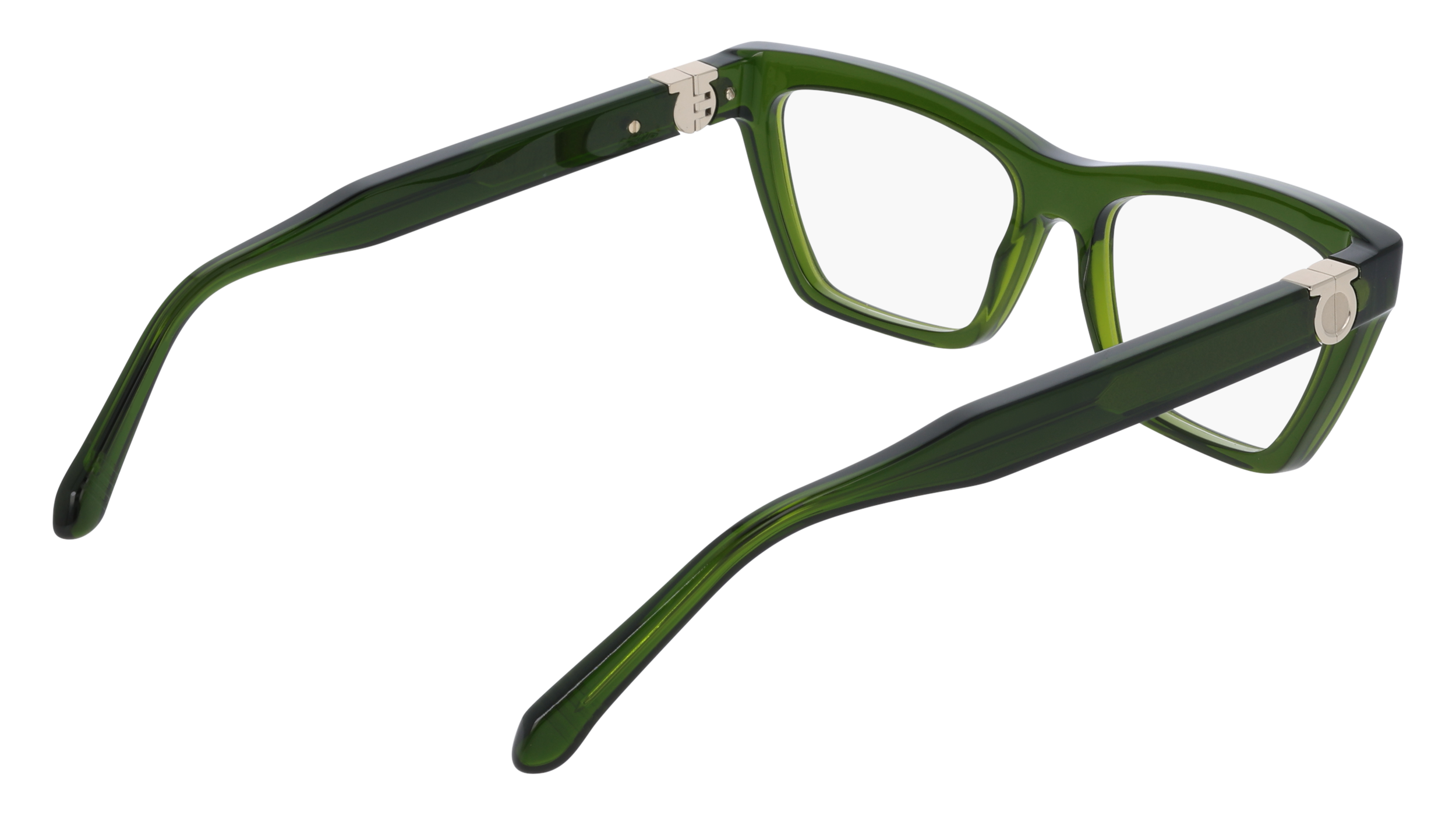 Ferragamo SF3021 317