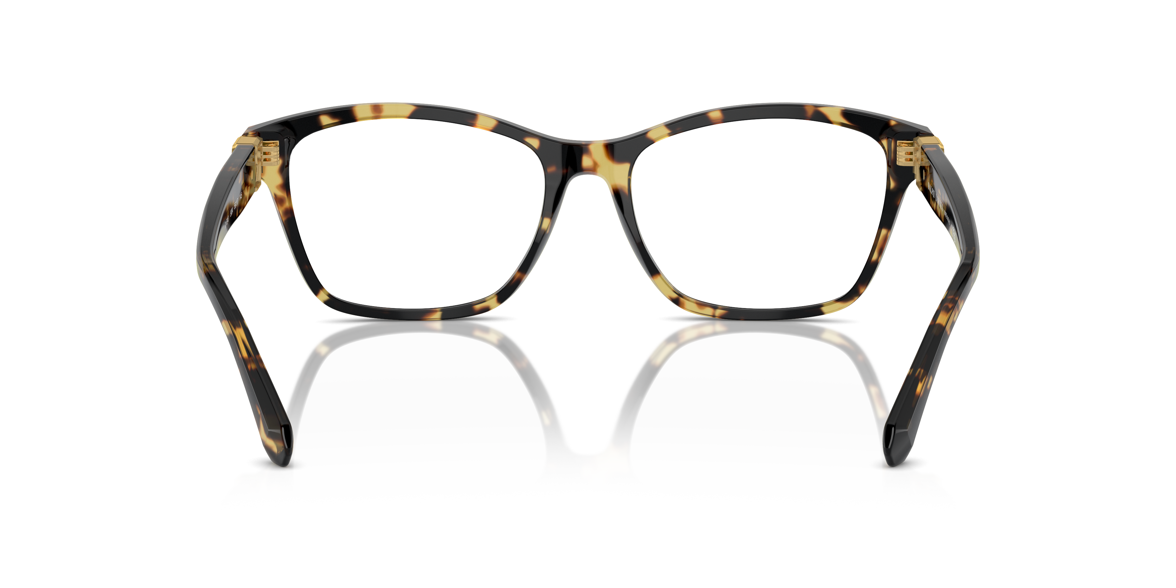 Ralph Lauren RL6243 5004