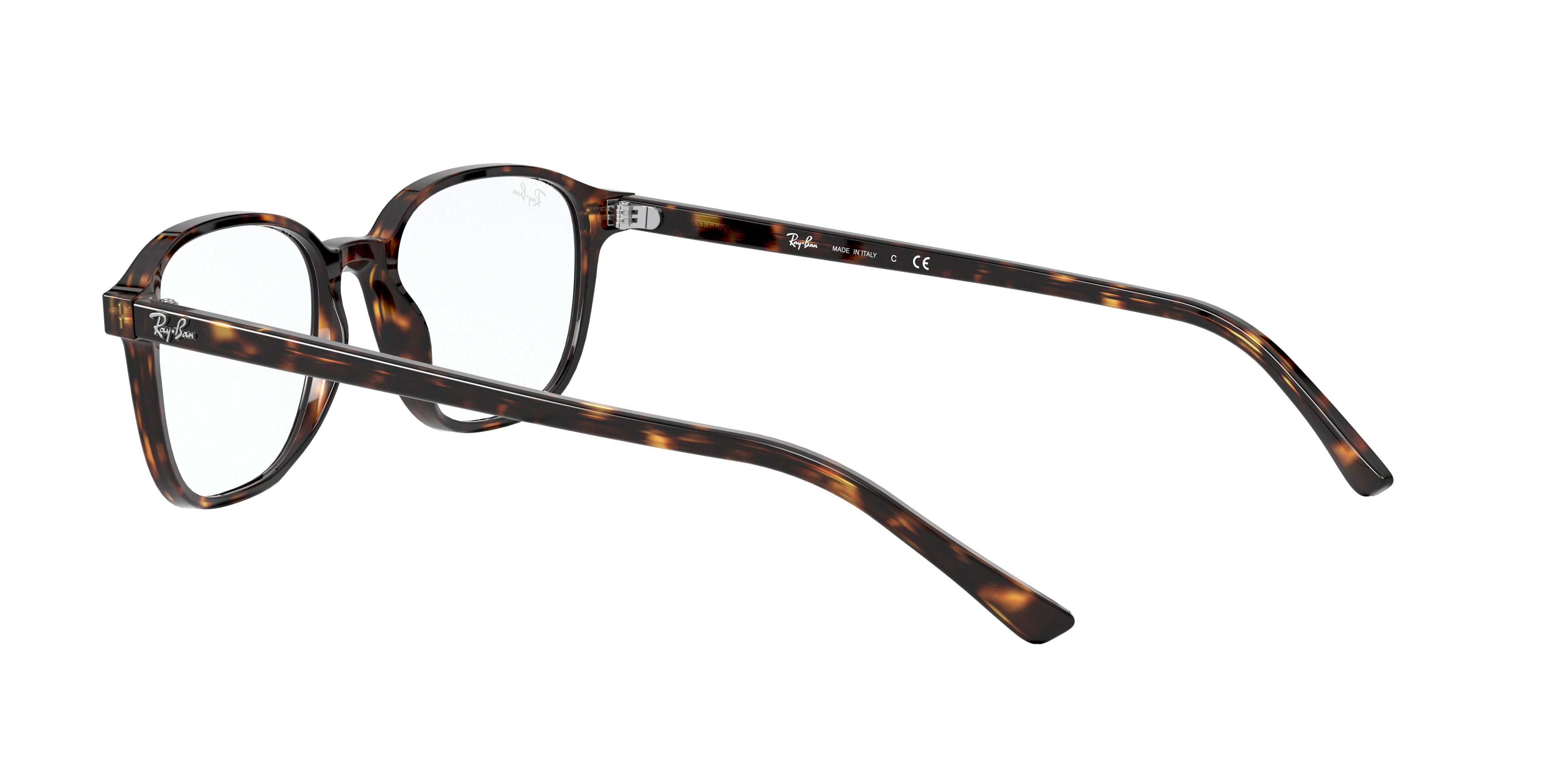 Ray-Ban RX5393 LEONARD 2012