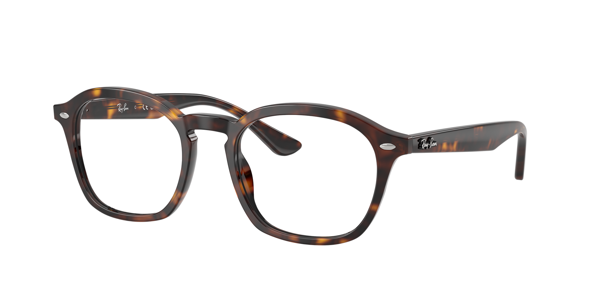 Ray-Ban RX5451 2012