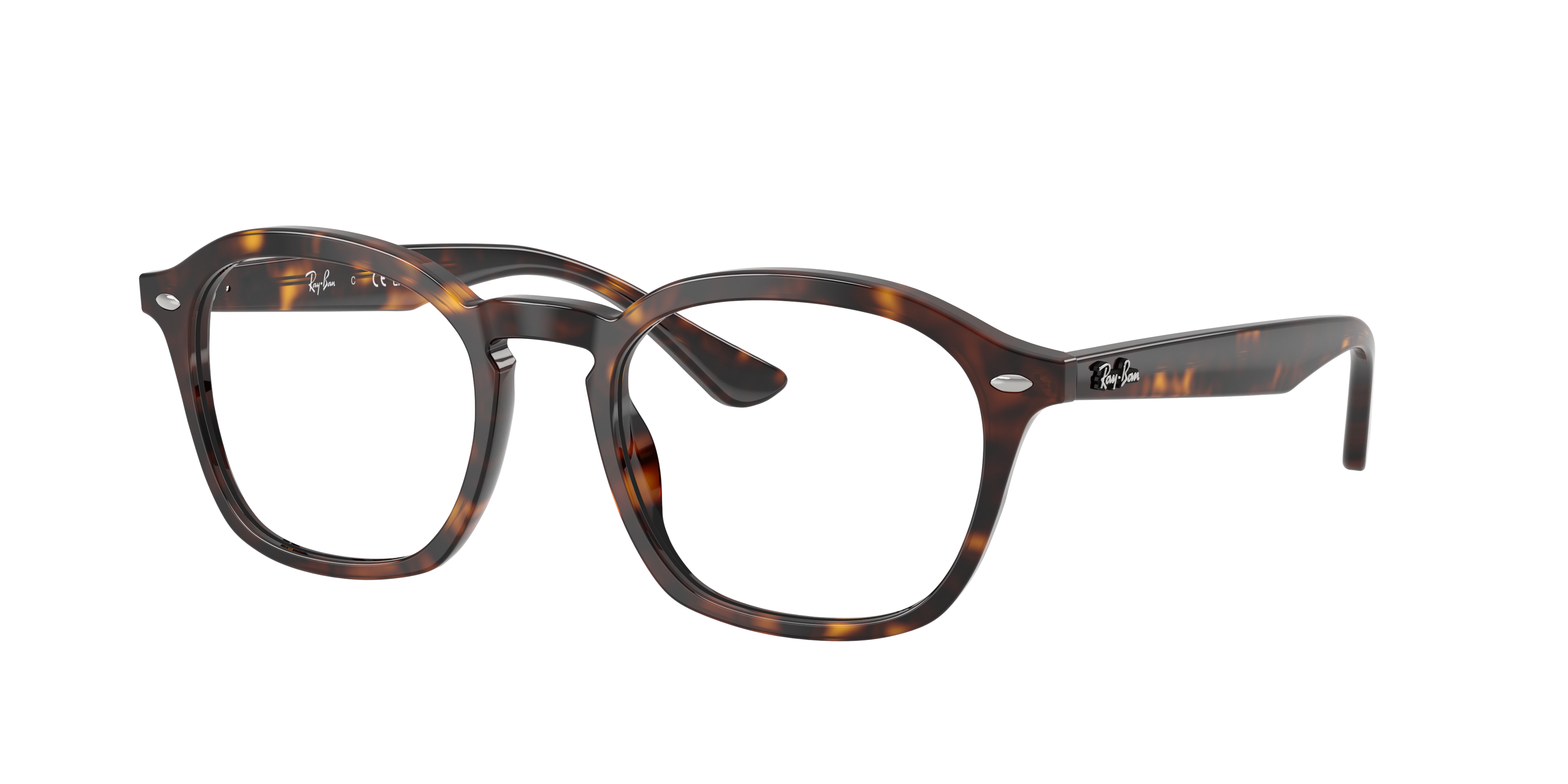 Ray-Ban RX5451 2012