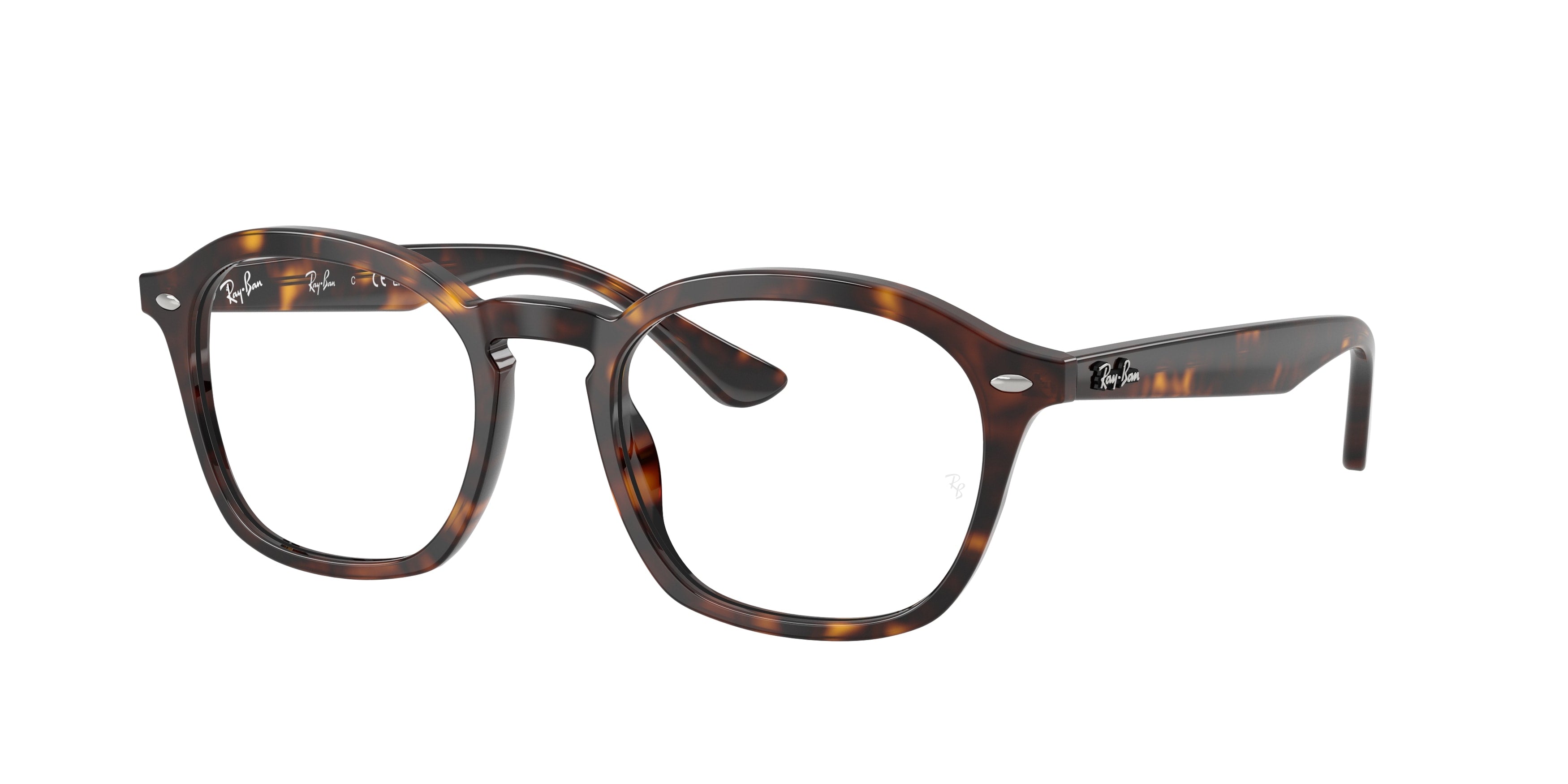 Ray-Ban RX5451 2012