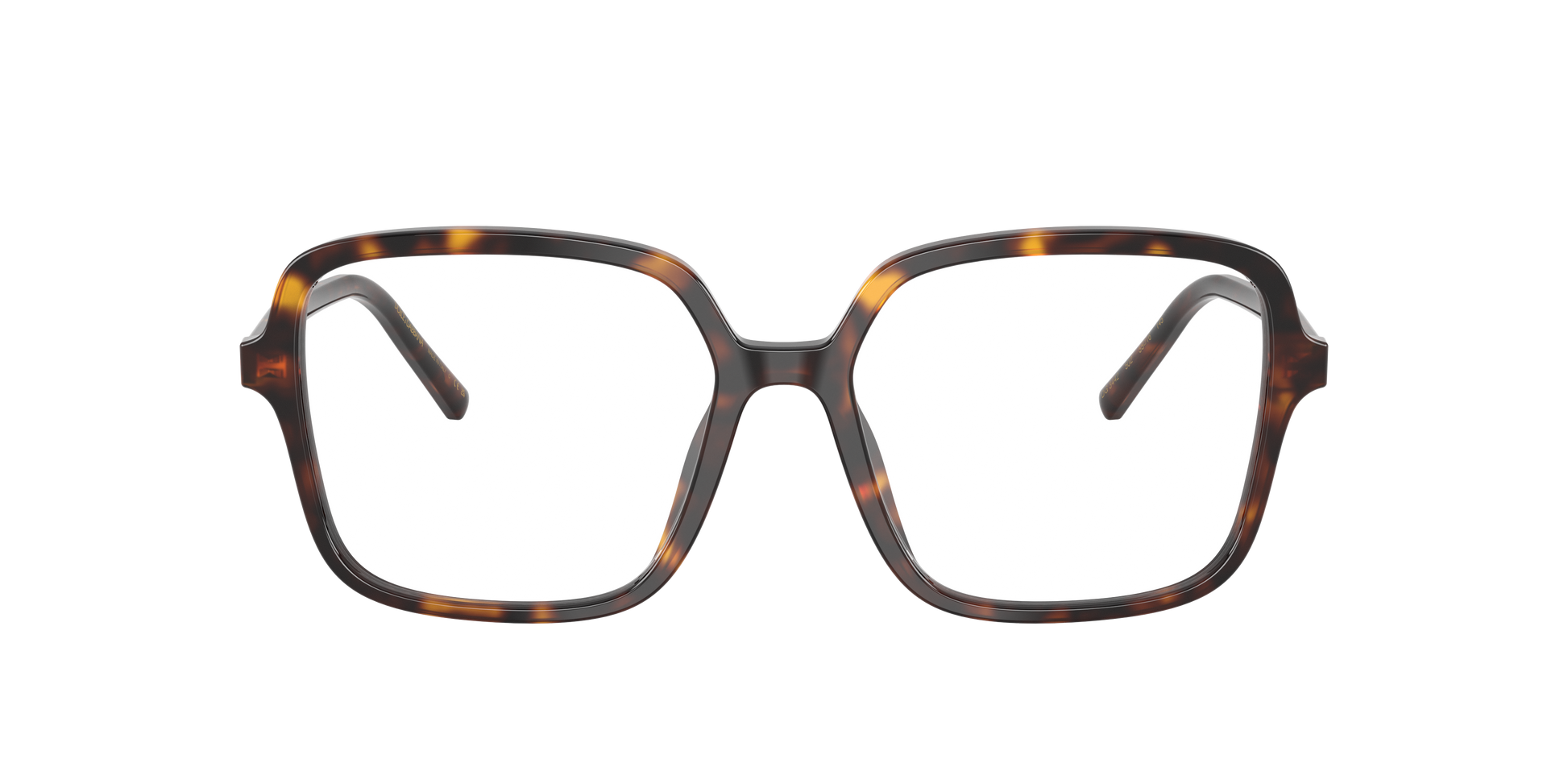 Dolce & Gabbana DG3442 502