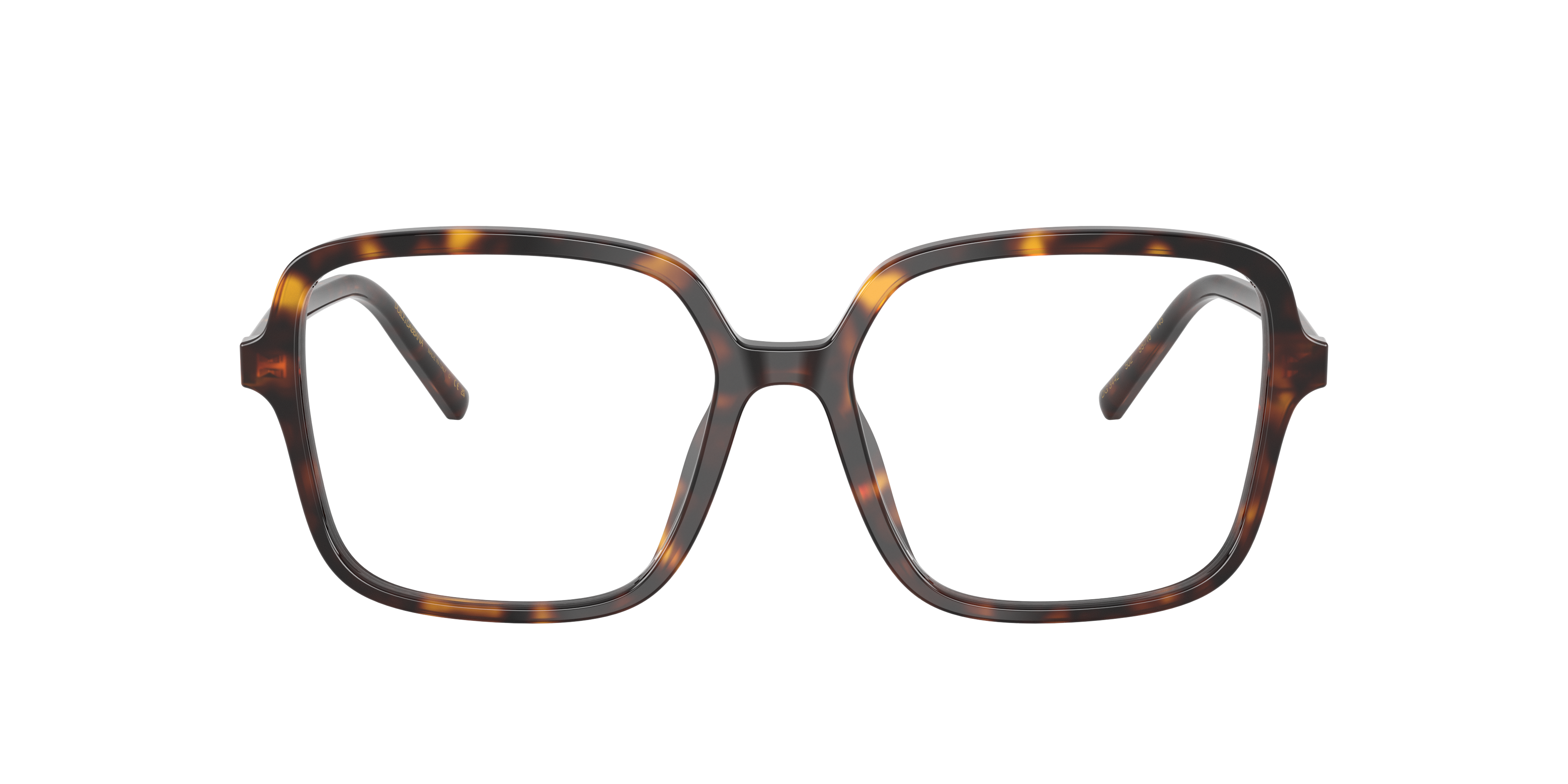 Dolce & Gabbana DG3442 502