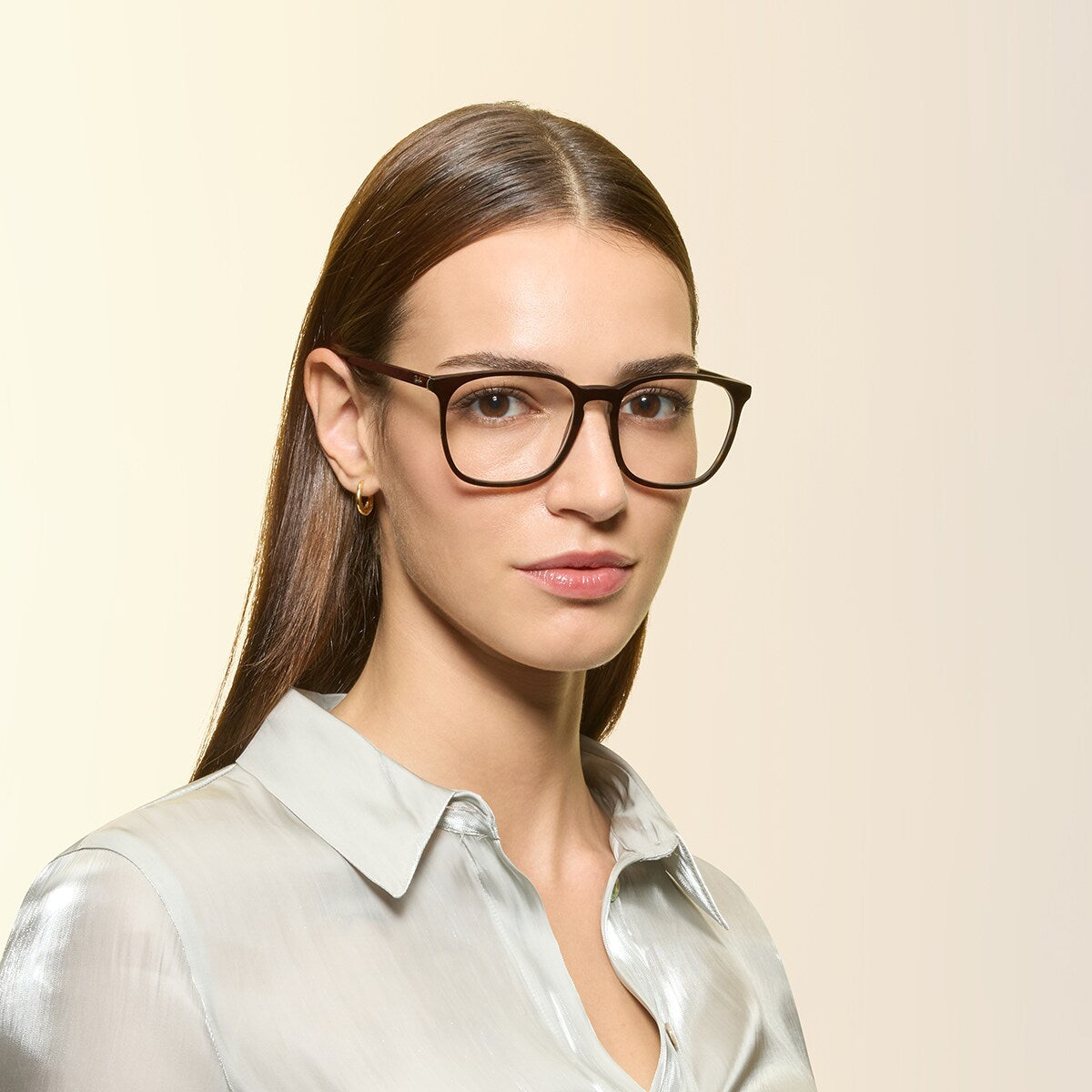 Ray-Ban RX5387 2012