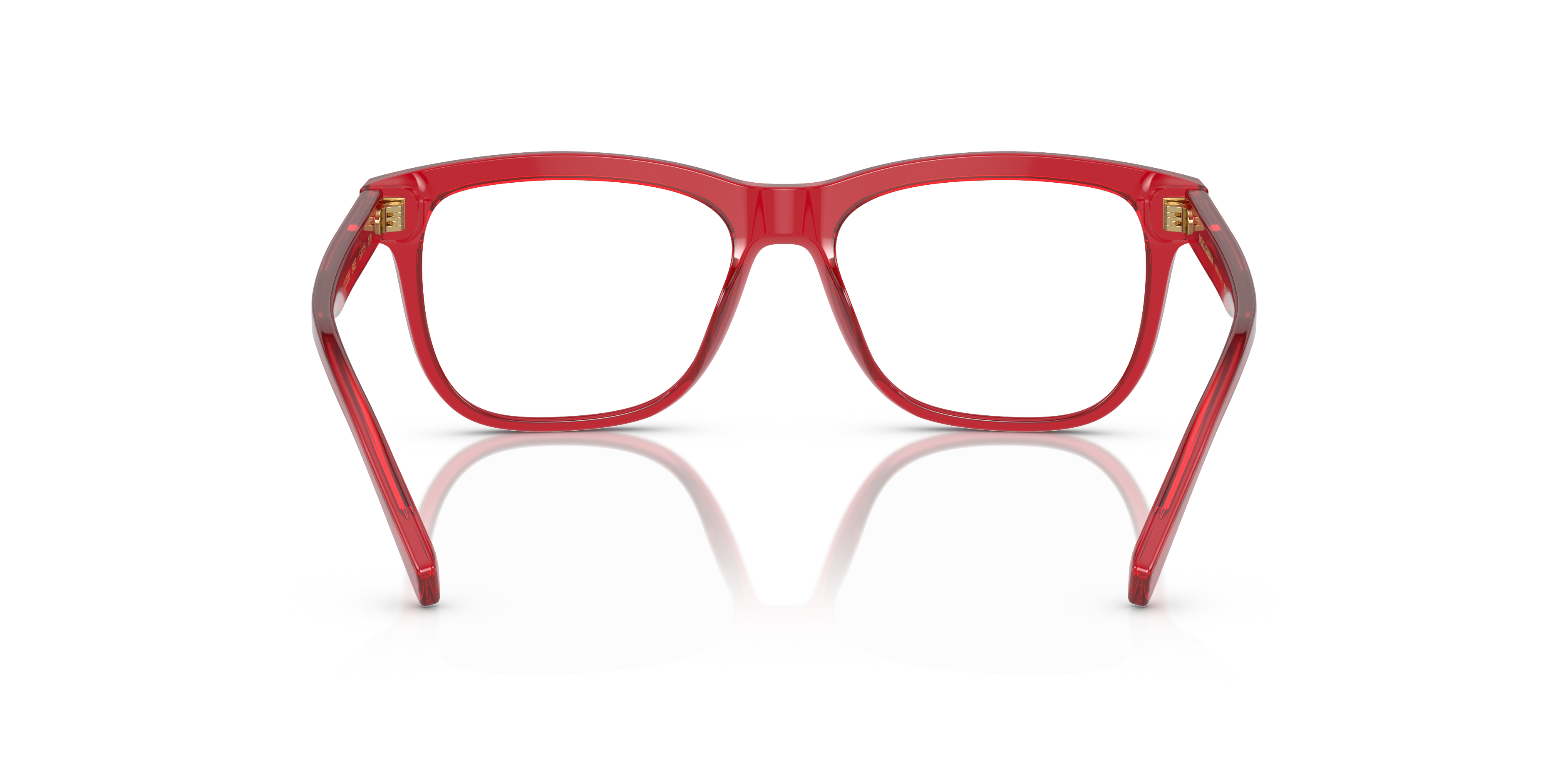 Dolce & Gabbana DX3356 3409