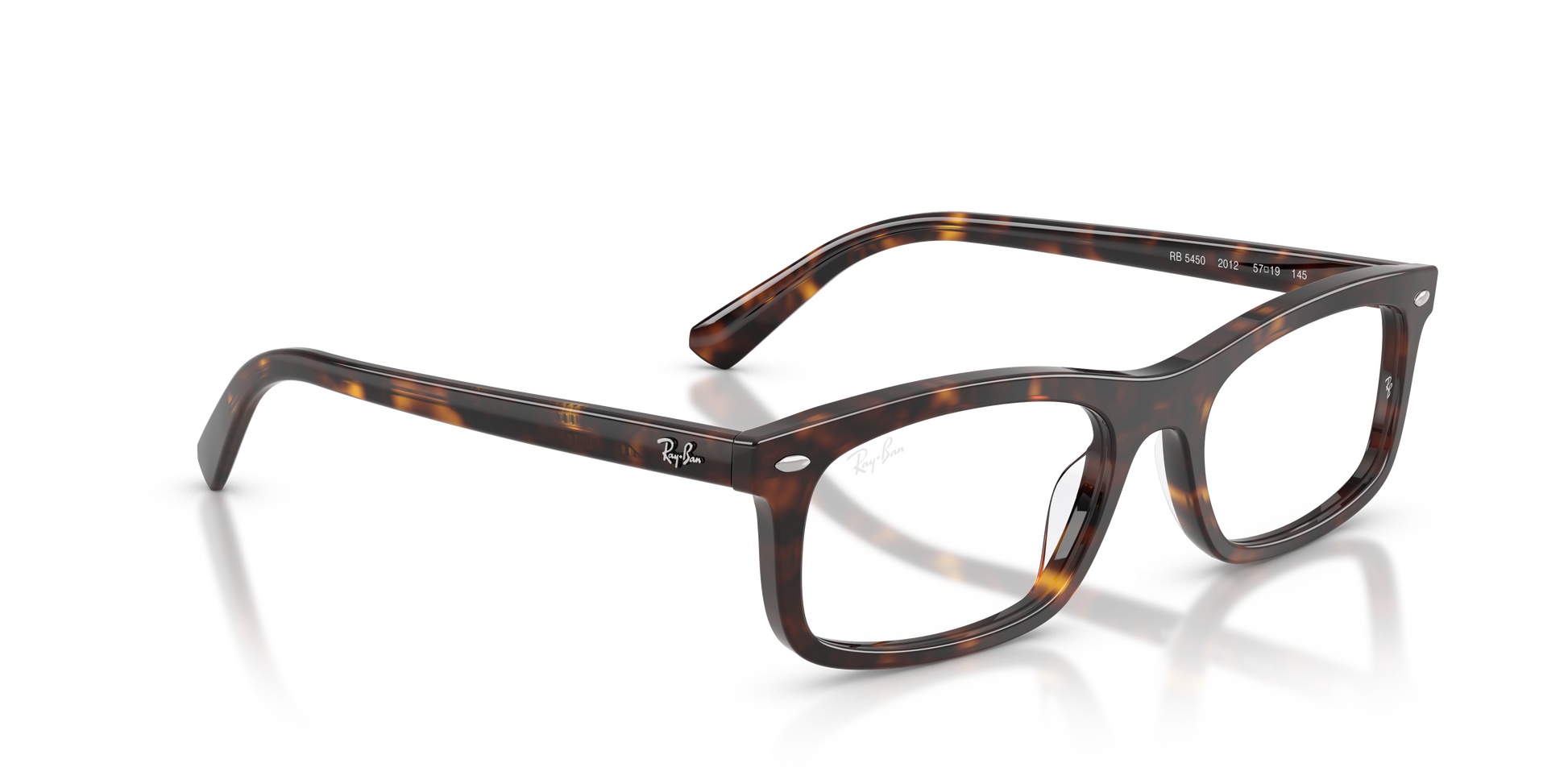 Ray-Ban RX5450 2012
