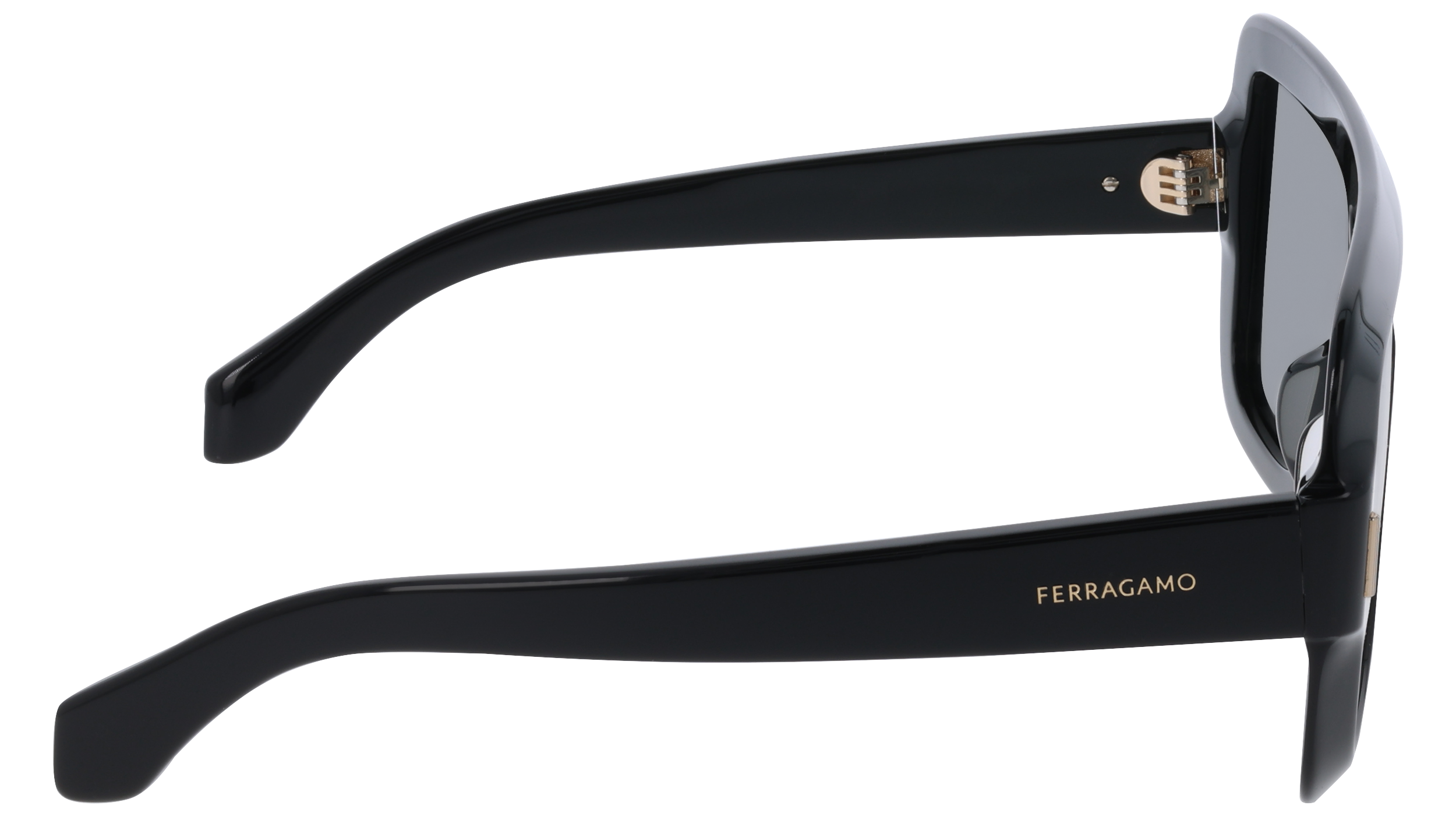 Ferragamo SF2061SE 1