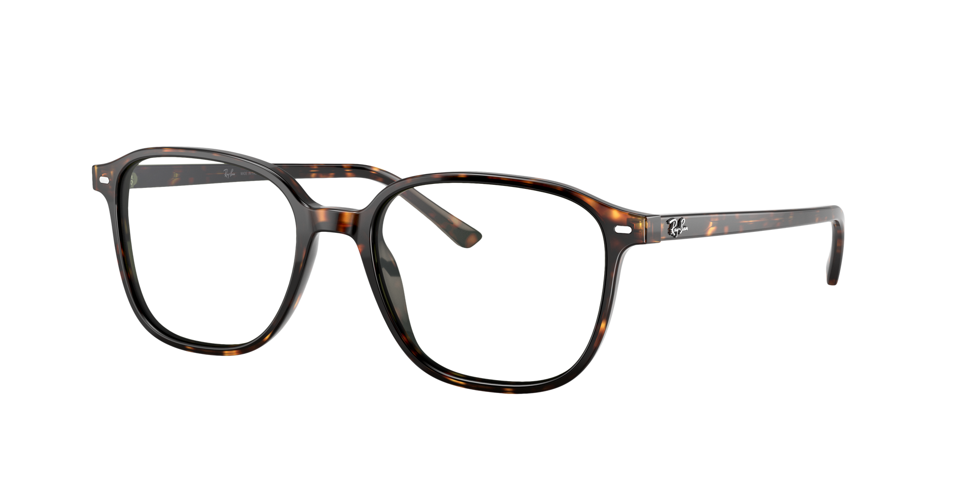 Ray-Ban RB2193 LEONARD 902/31