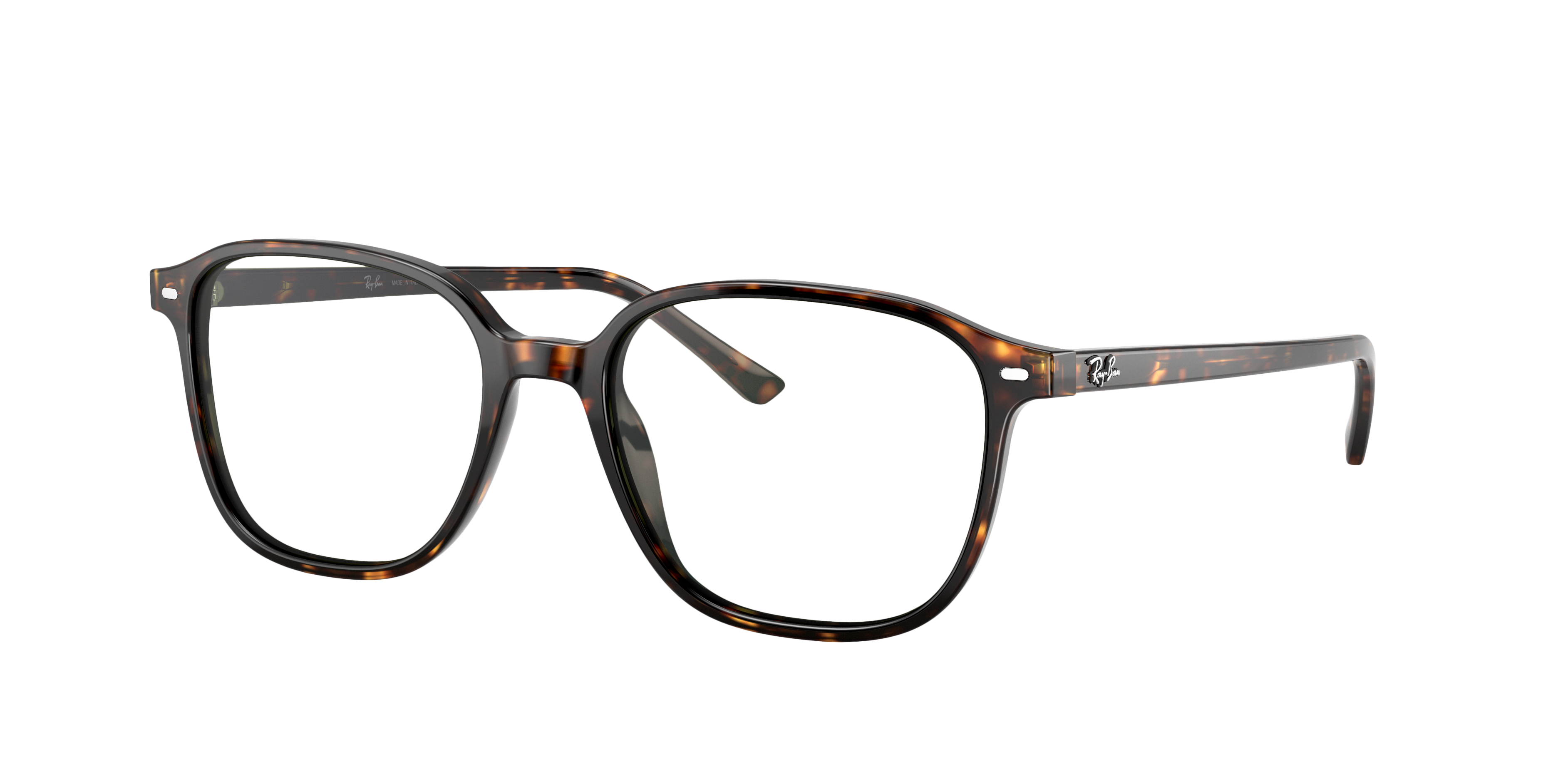 Ray-Ban RB2193 LEONARD 902/31