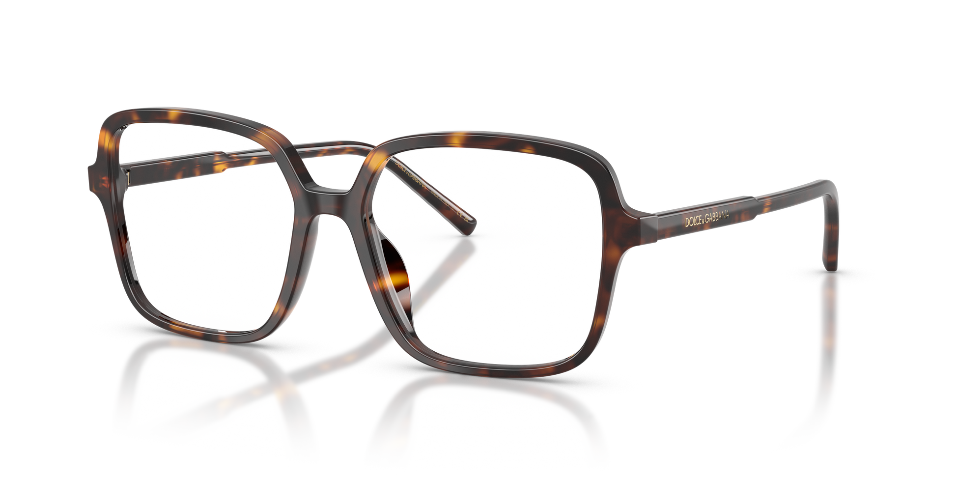 Dolce & Gabbana DG3442 502