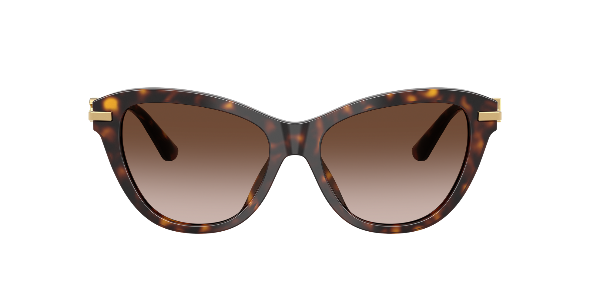Dolce & Gabbana DG4534 502/13