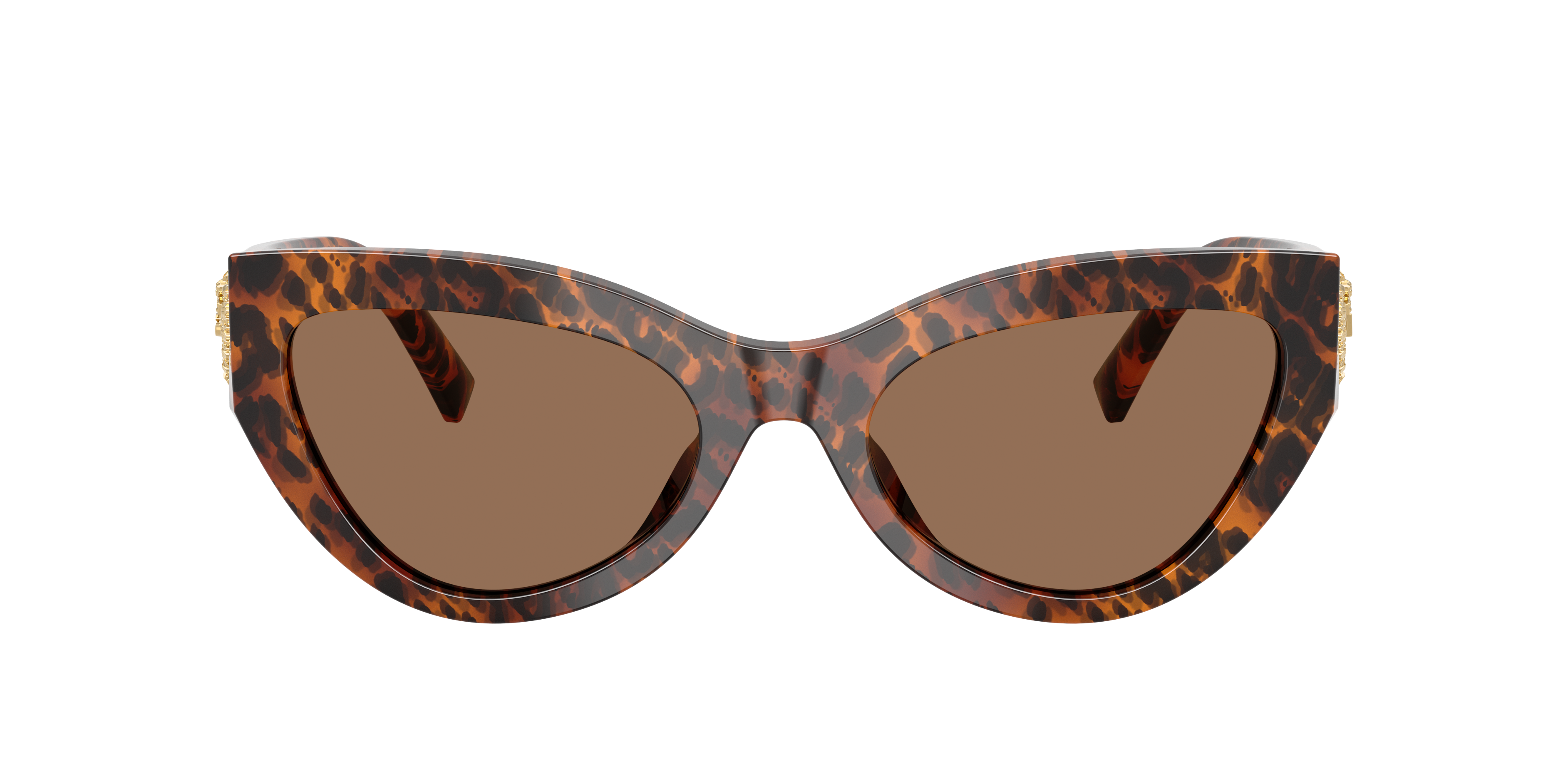 Dolce & Gabbana DG4536 347073