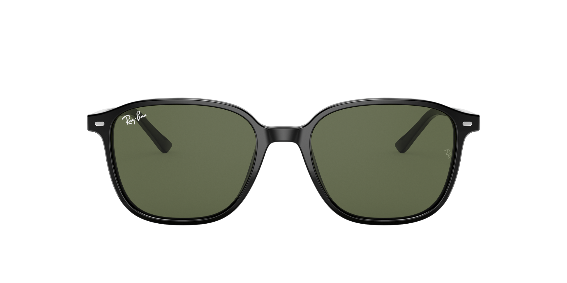 Ray-Ban RB2193 LEONARD 901/31