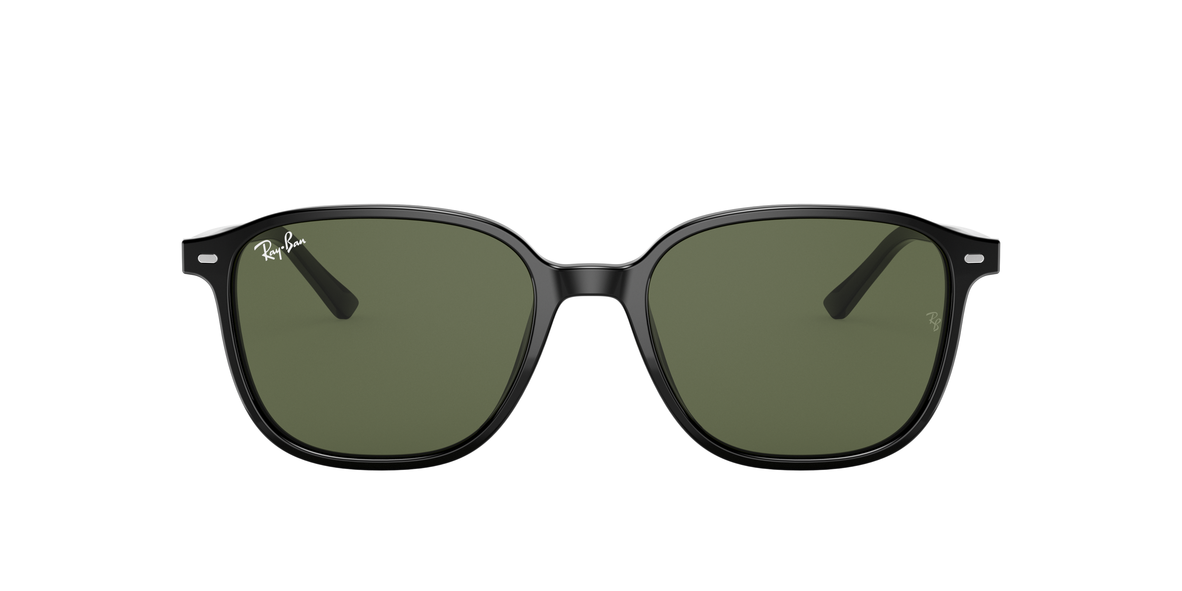 Ray-Ban RB2193 LEONARD 901/31