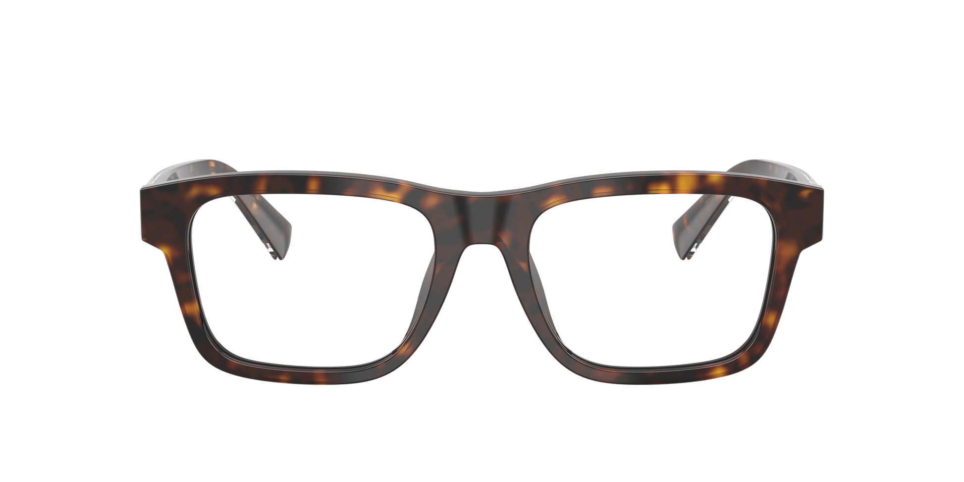 Dolce & Gabbana DG3446 502