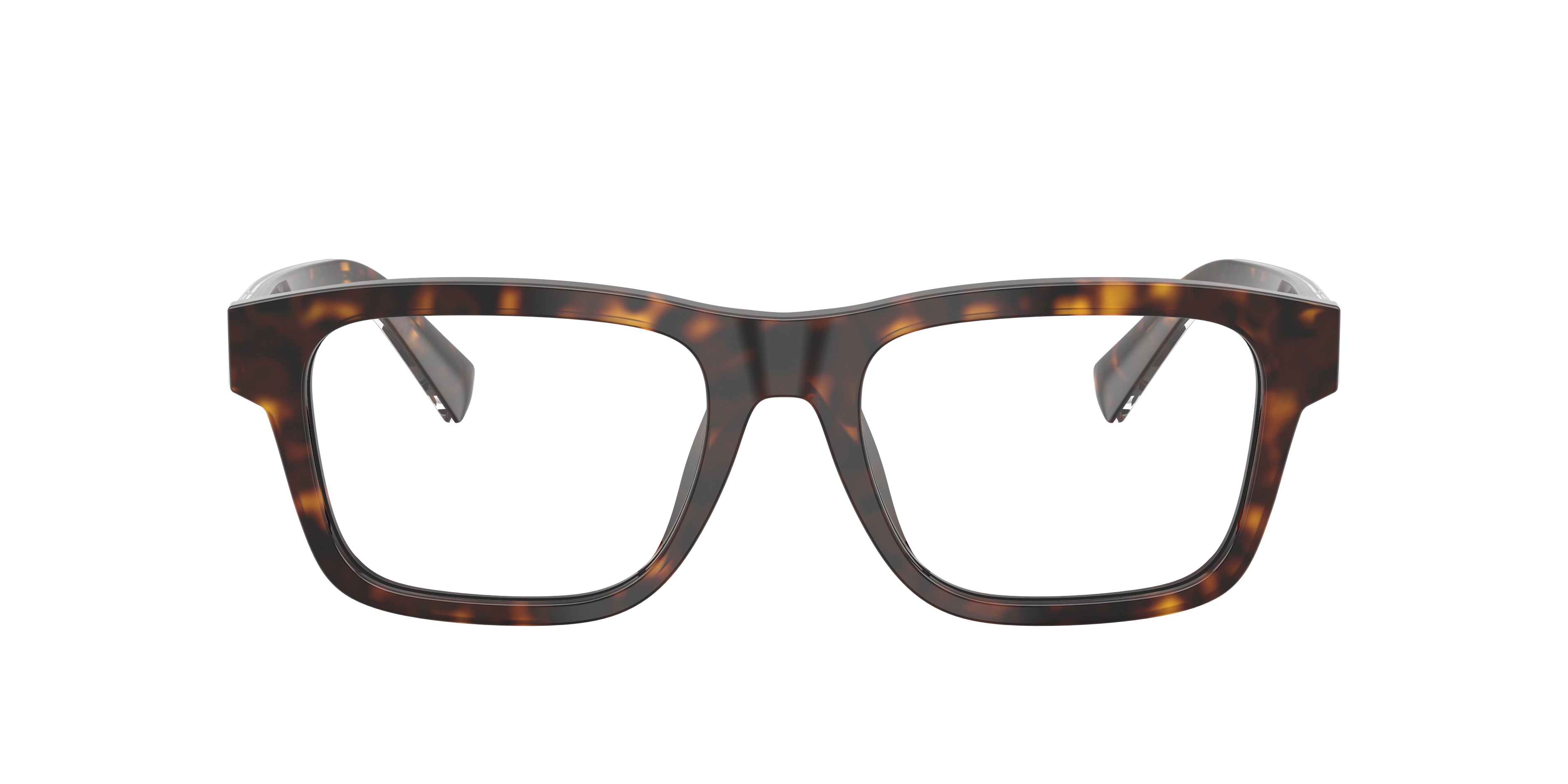 Dolce & Gabbana DG3446 502