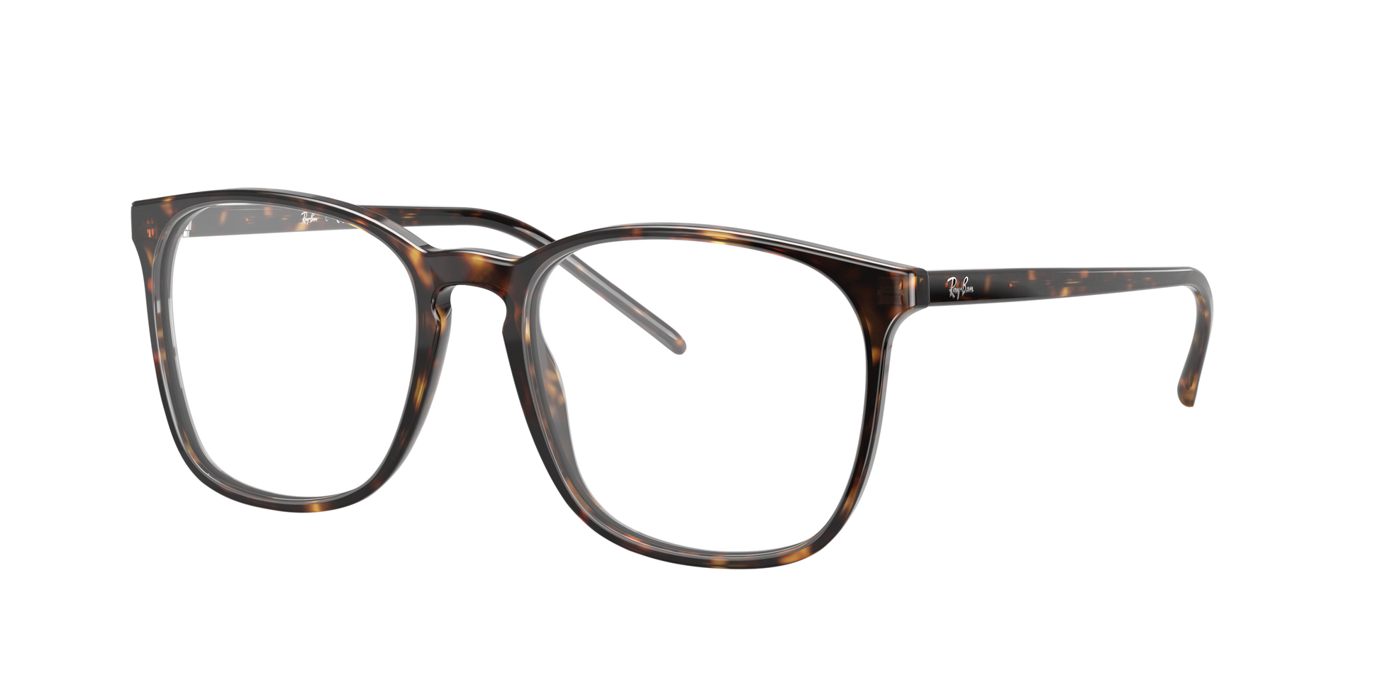 Ray-Ban RX5387 2012