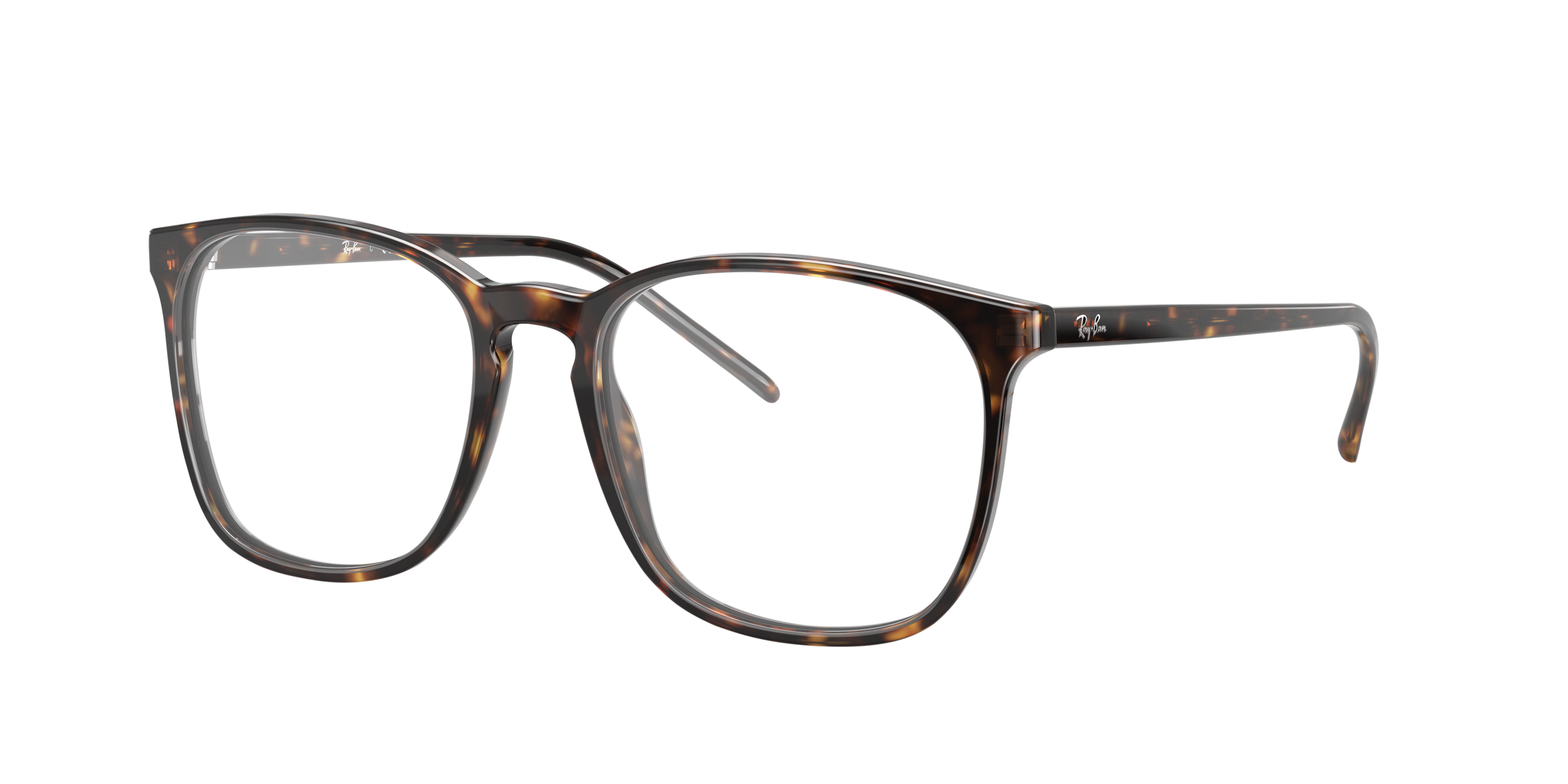 Ray-Ban RX5387 2012