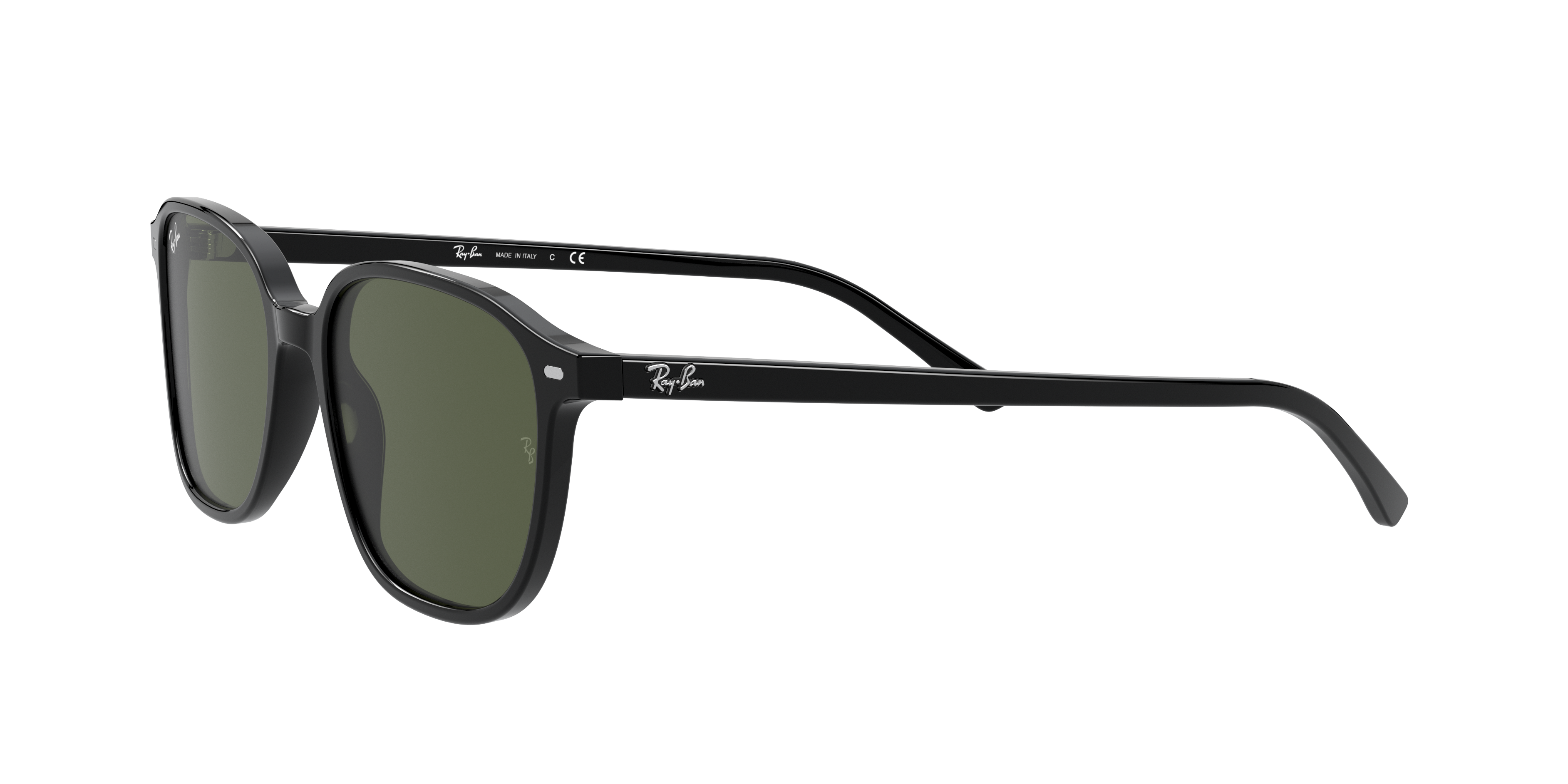 Ray-Ban RB2193 LEONARD 901/31