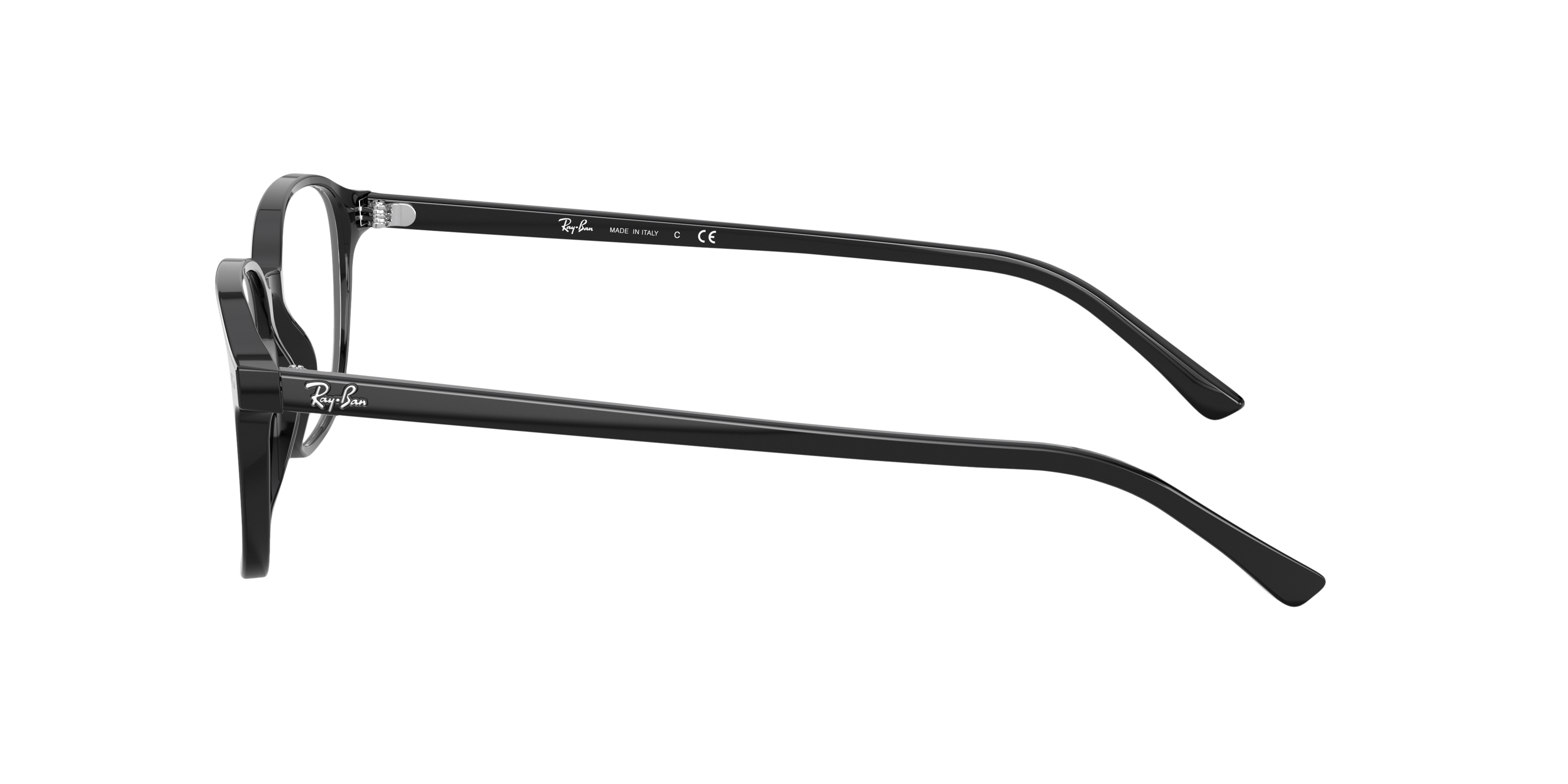 Ray-Ban RX5393 LEONARD 2000
