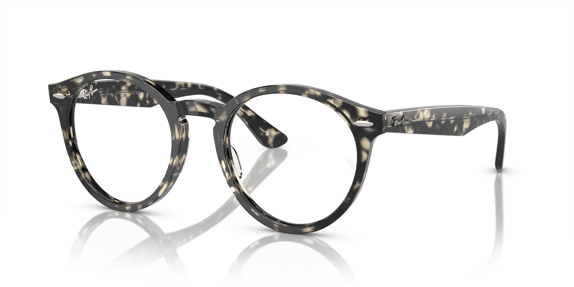 Ray-Ban RX7680V LARRY 8117