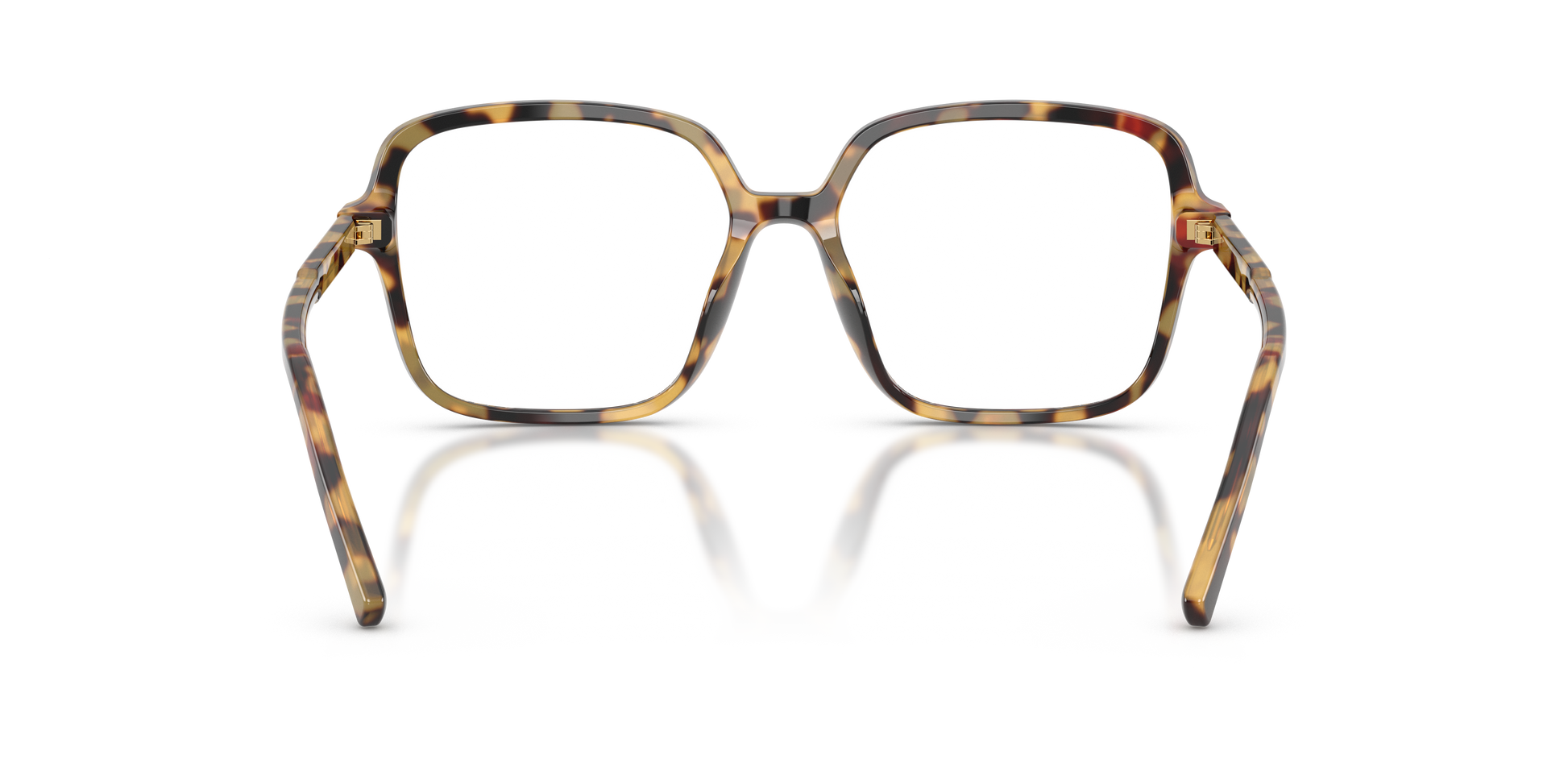 Dolce & Gabbana DG3442 512