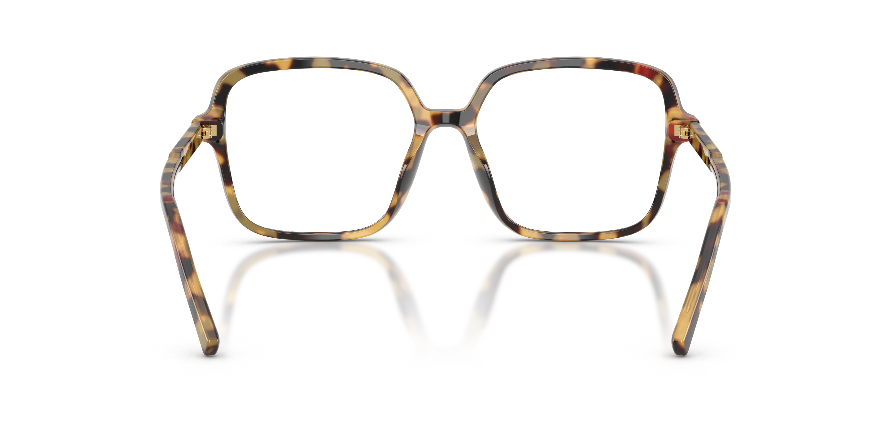 Dolce & Gabbana DG3442 512