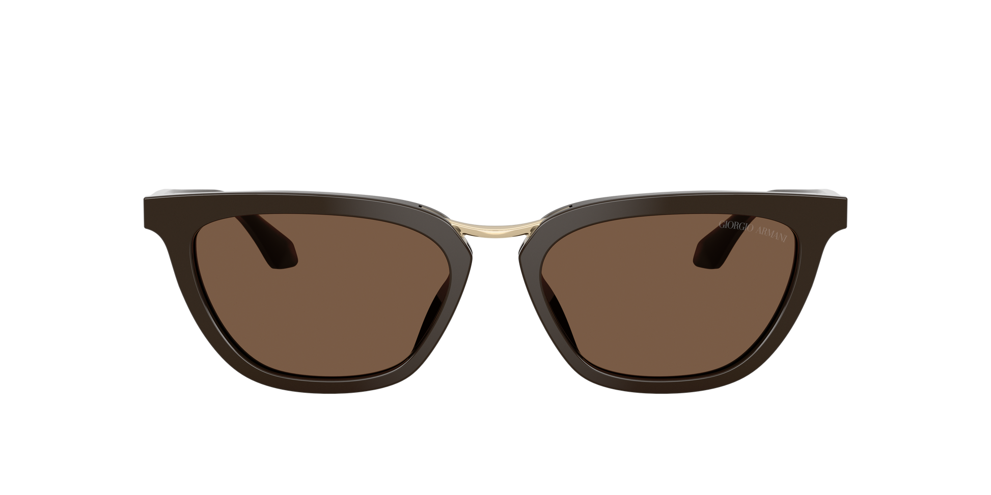 Giorgio Armani AR8253U 639873