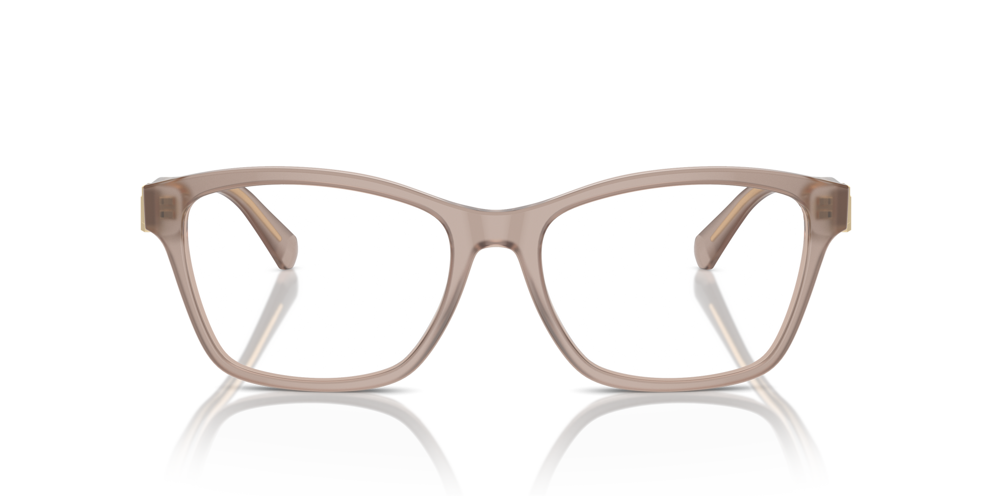 Ralph Lauren RL6243 6182