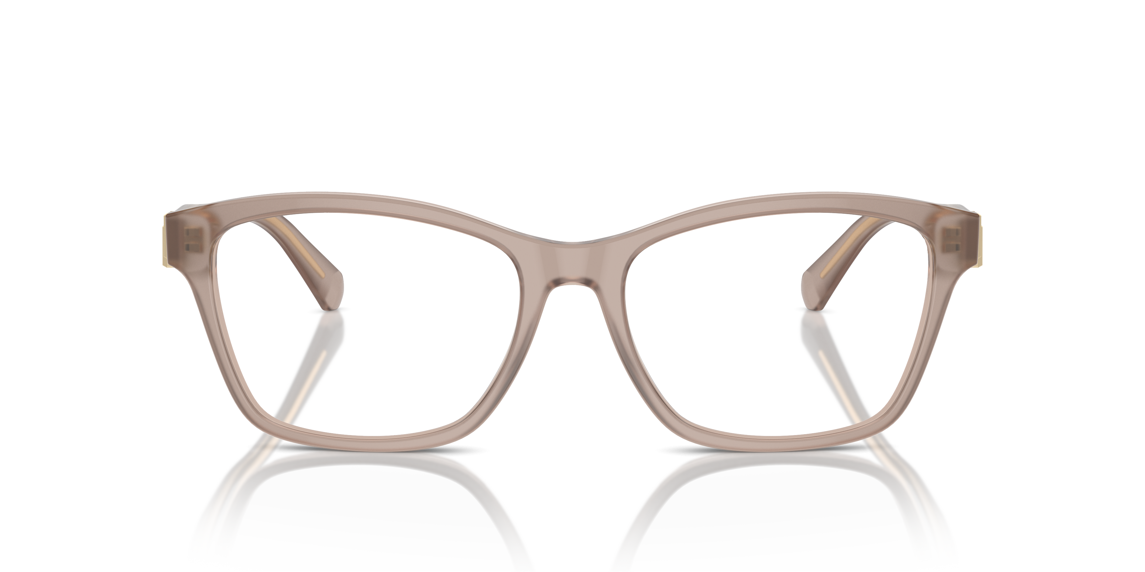 Ralph Lauren RL6243 6182