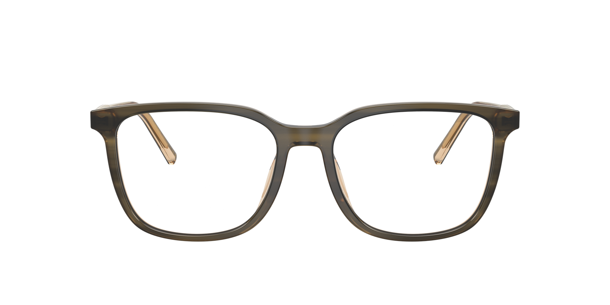 Dolce & Gabbana DG3445 3480