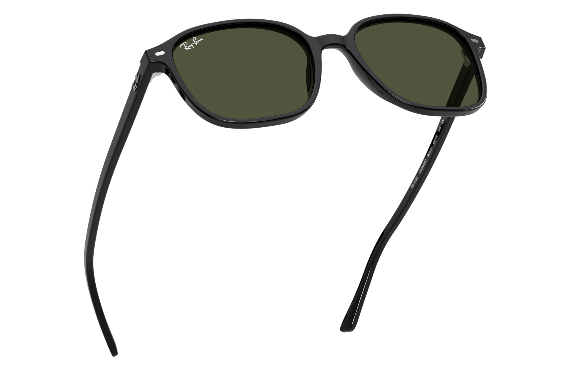 Ray-Ban RB2193 LEONARD 901/31