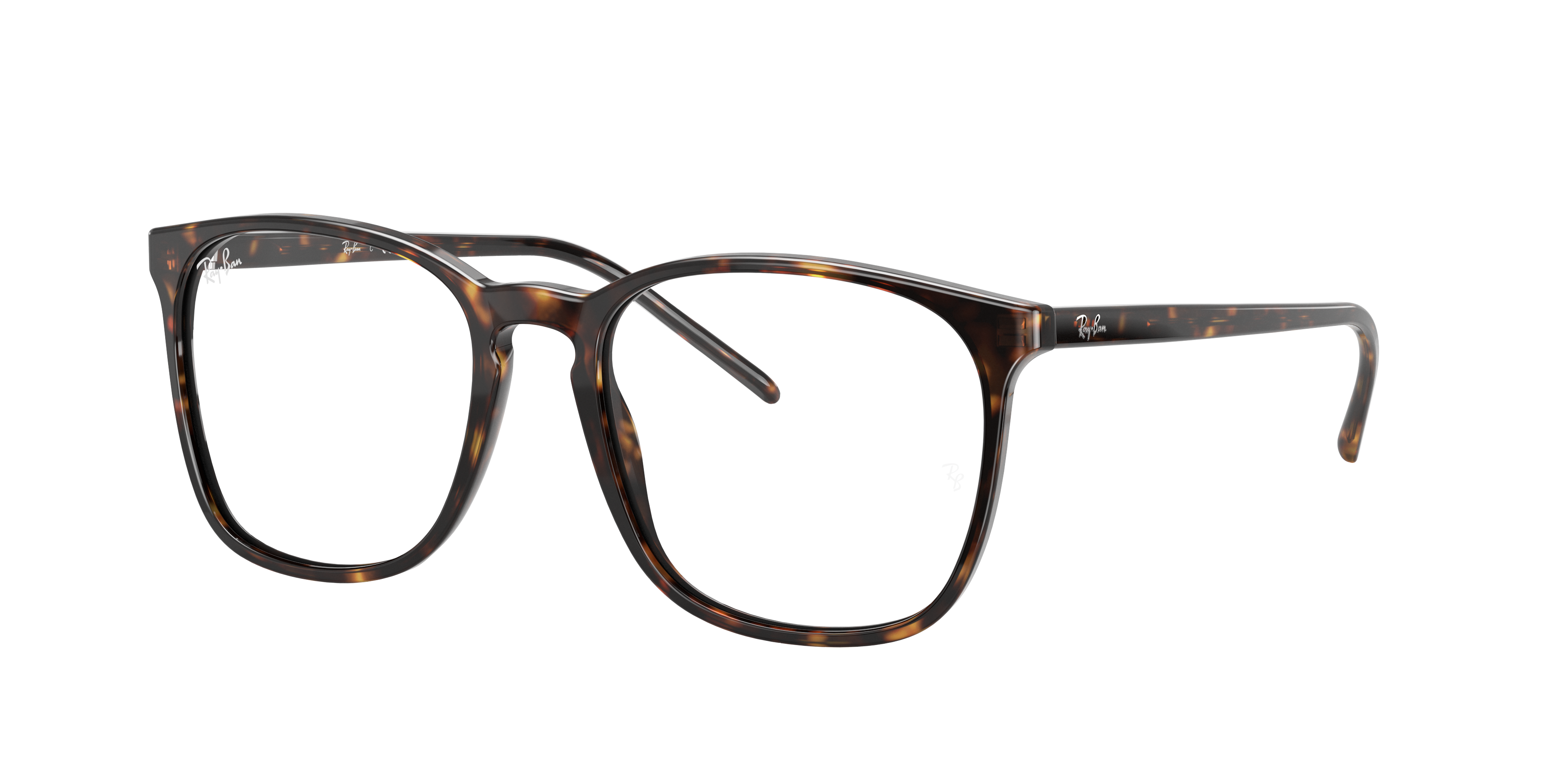 Ray-Ban RX5387 2012