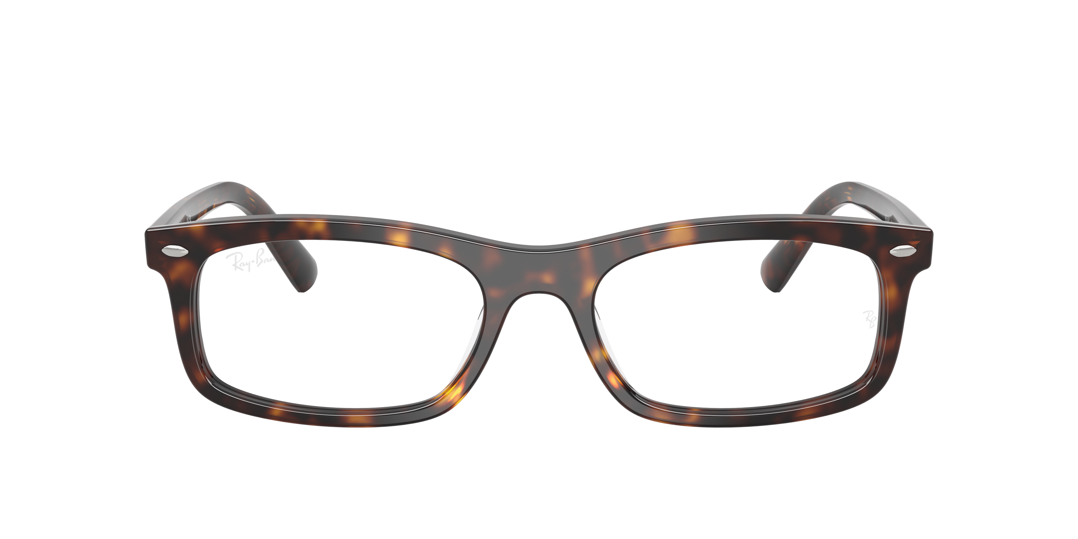 Ray-Ban RX5450 2012